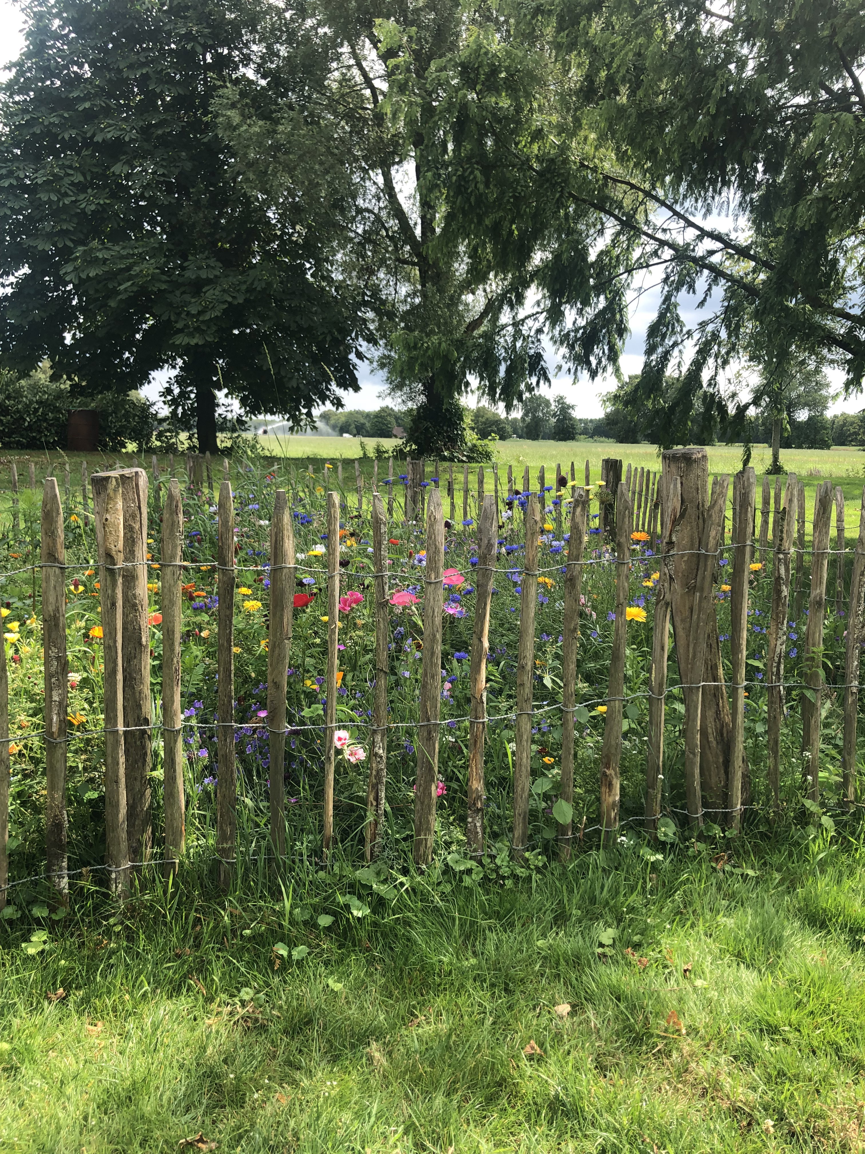 Naturhäuschen in Hoornsterzwaag
