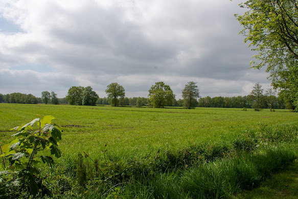 - image: 29