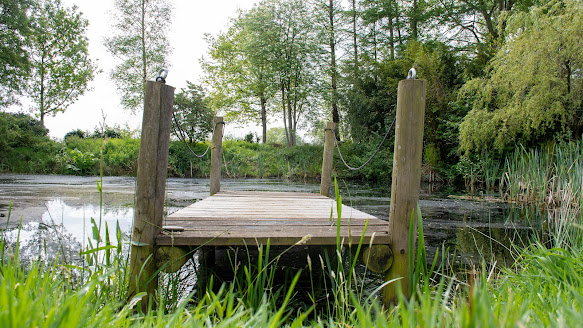 Naturhäuschen in Hoornsterzwaag