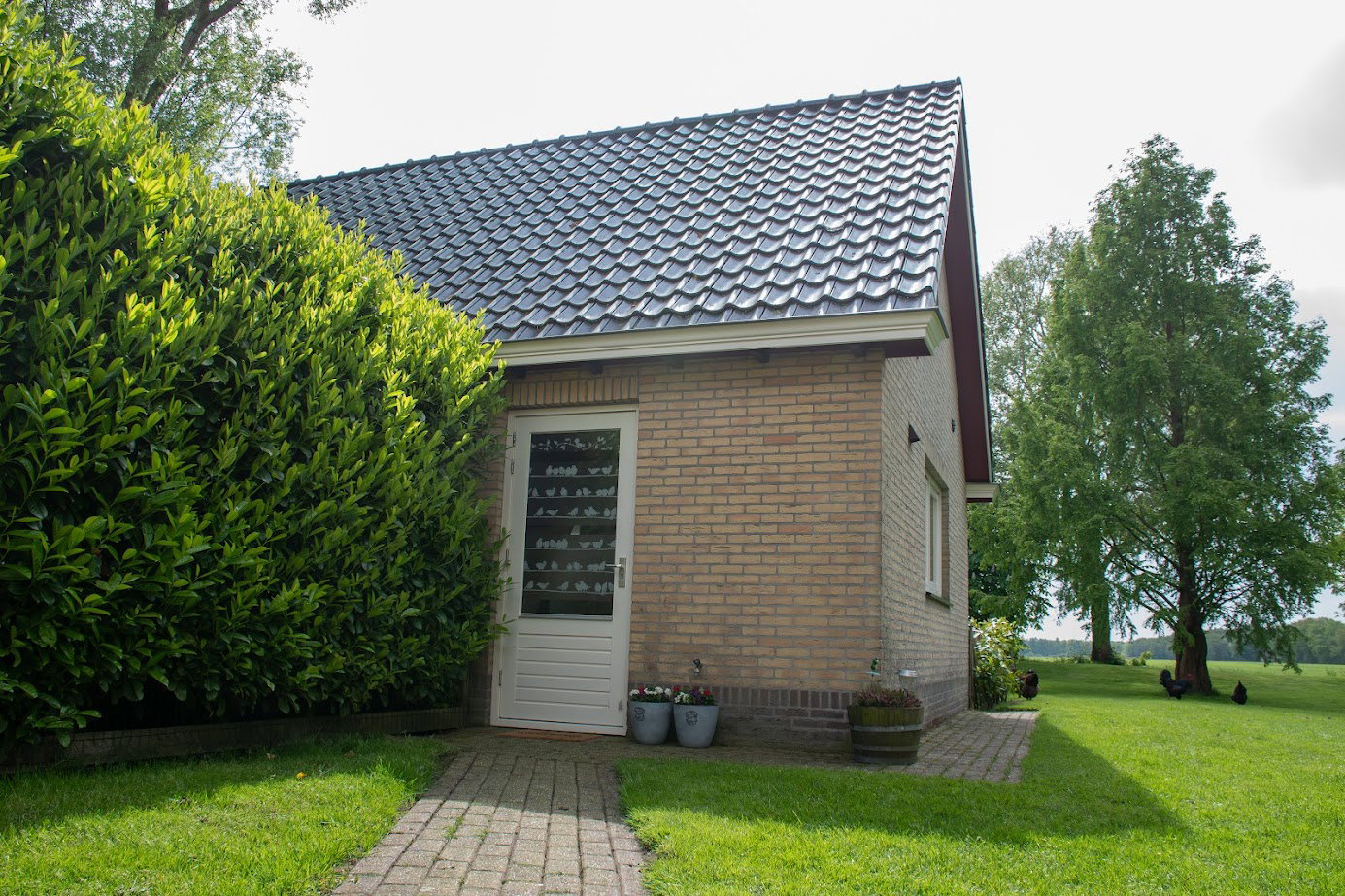 Naturhäuschen in Hoornsterzwaag