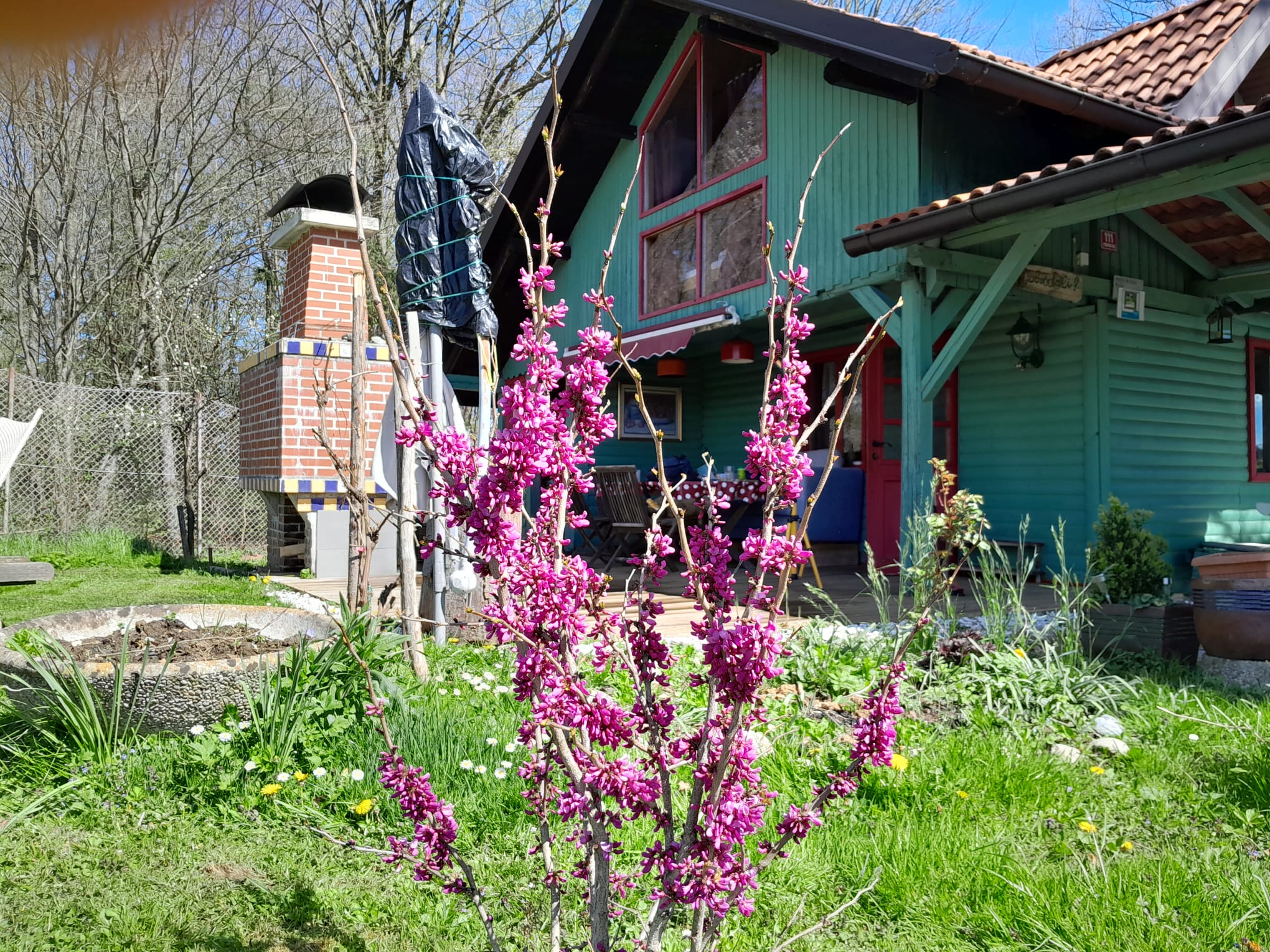 - image: 87