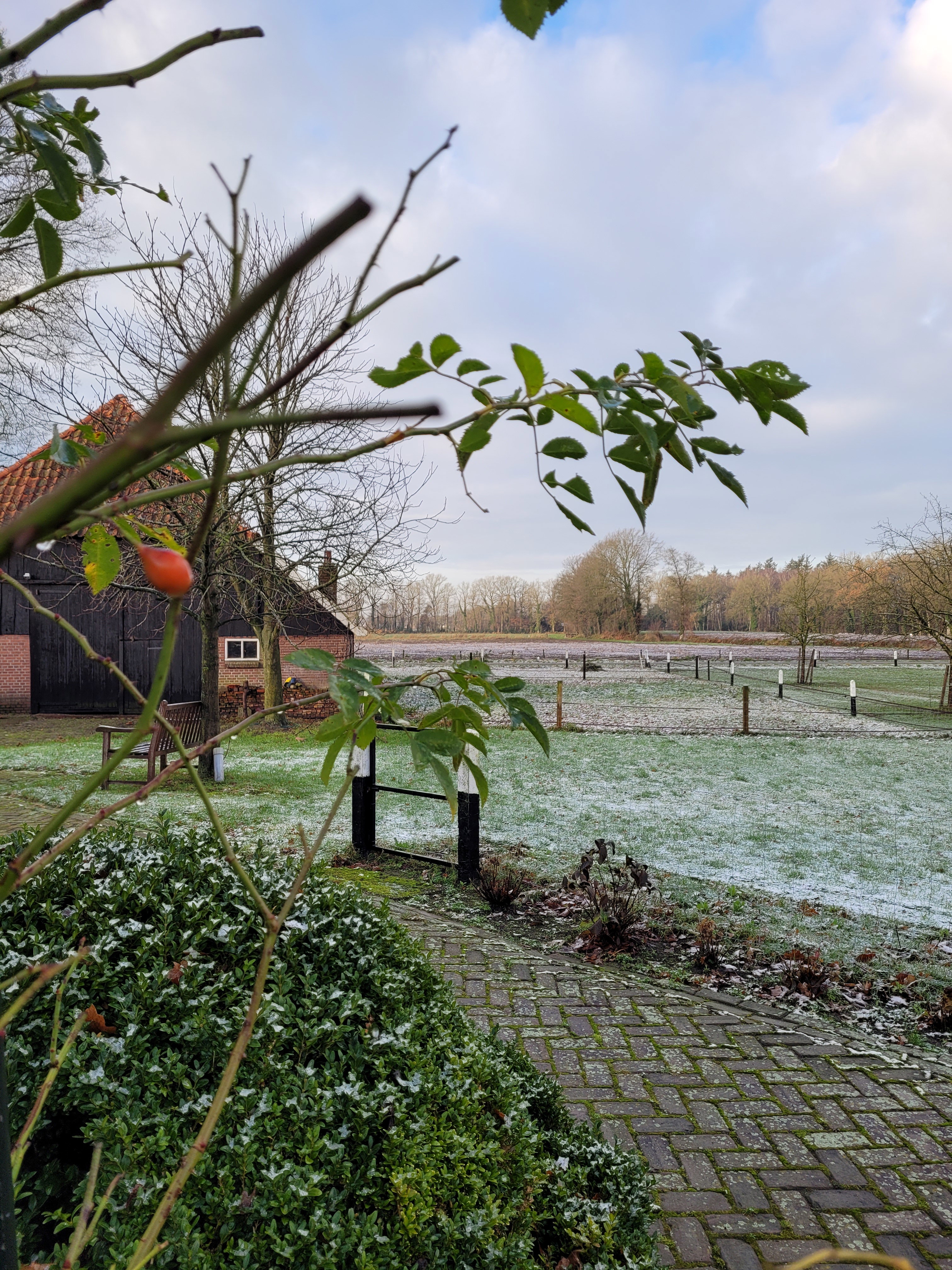 Naturhäuschen in Diepenheim