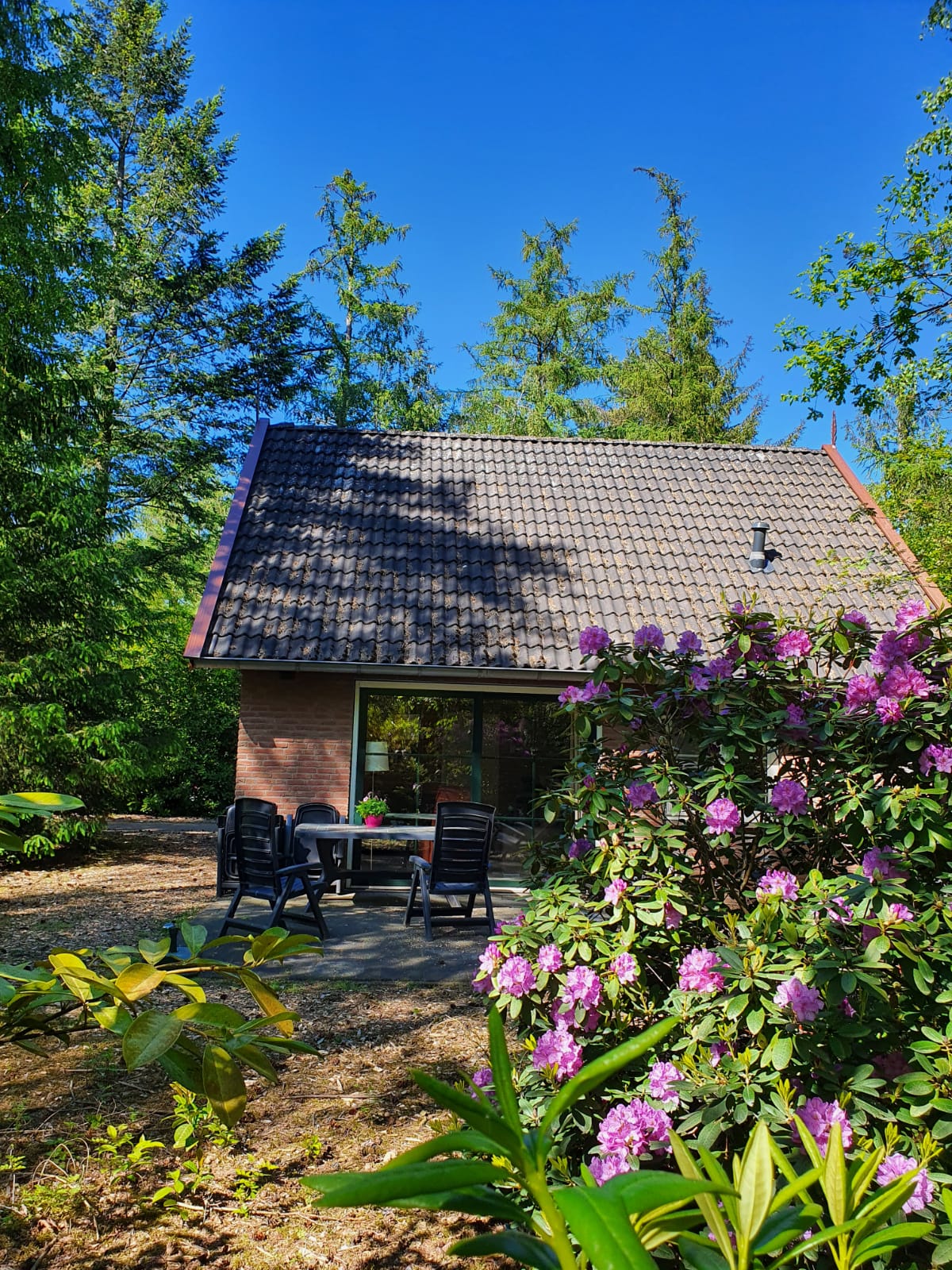 Naturhäuschen in Deurningen