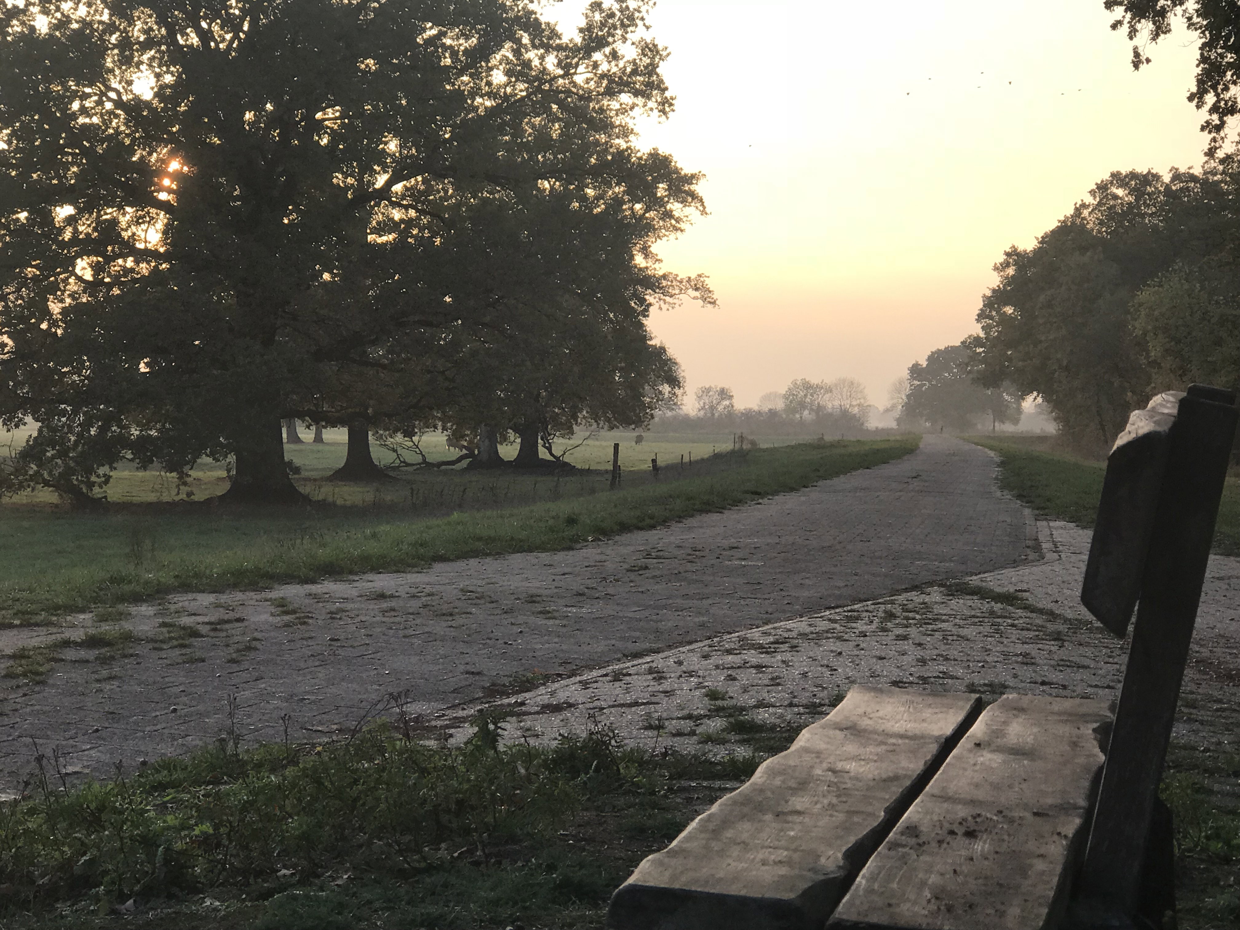 Naturhäuschen in Bierde