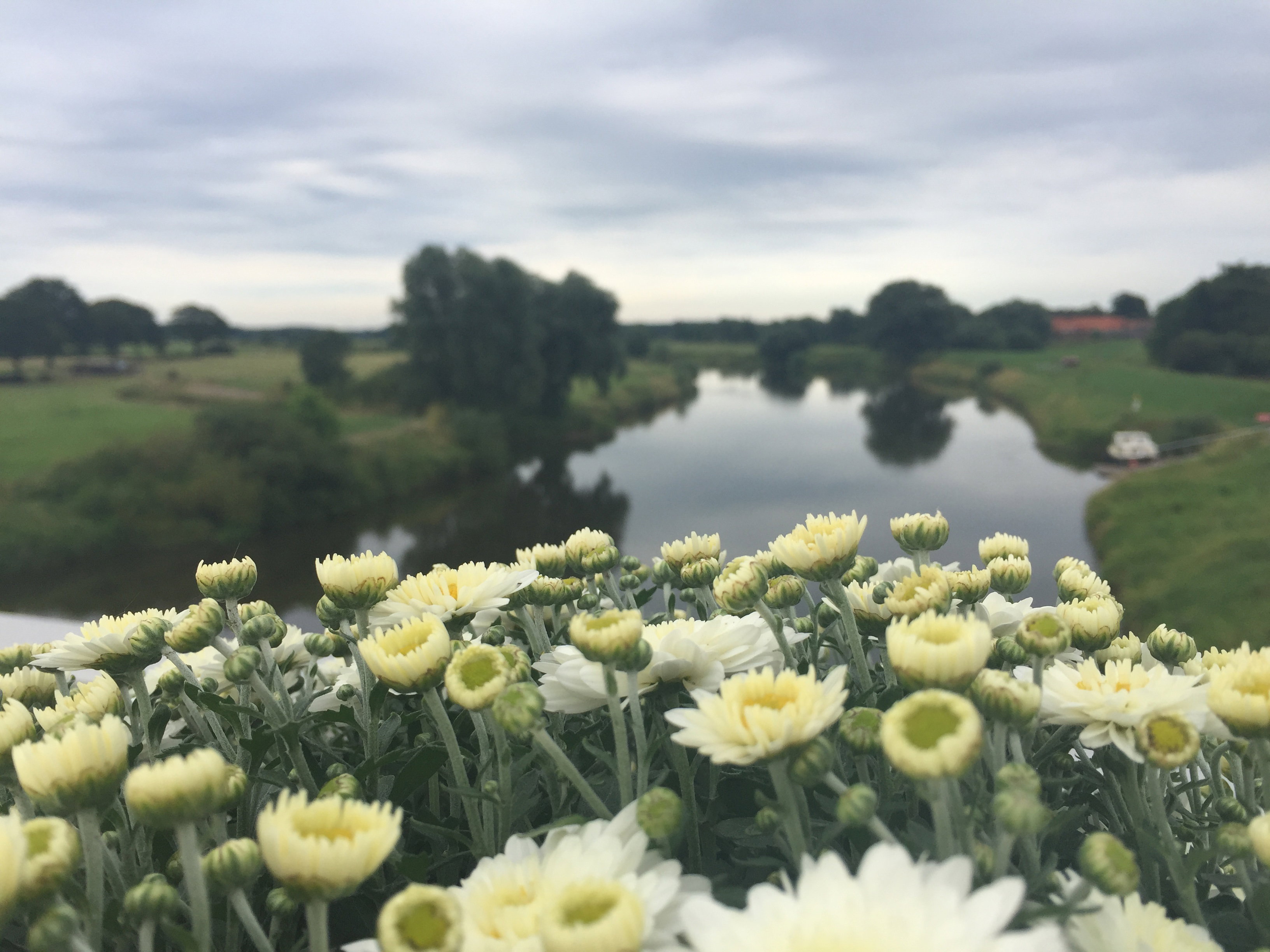 Naturhäuschen in Bierde