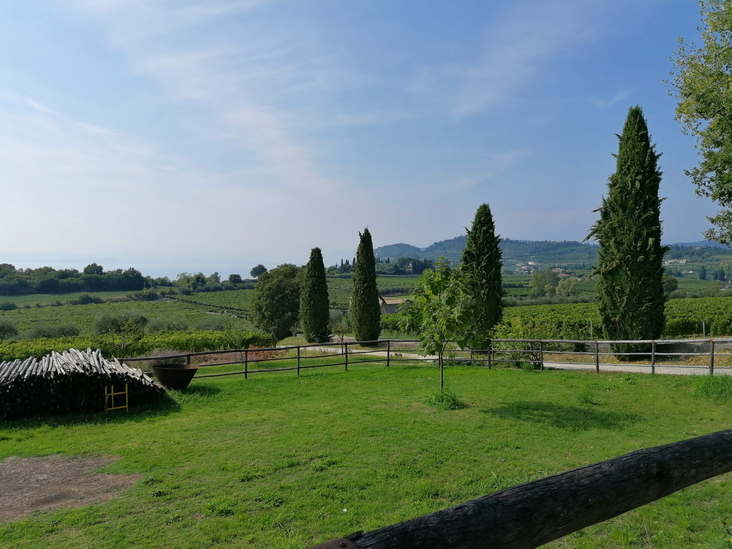 - image: 5