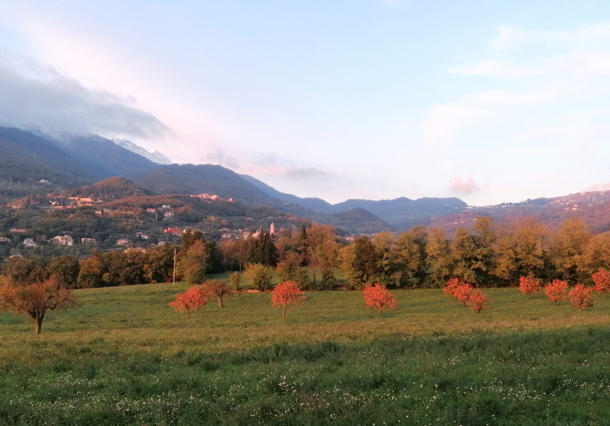 - image: 14