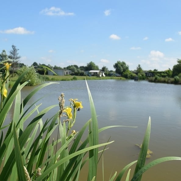 Naturhäuschen in Molenschot