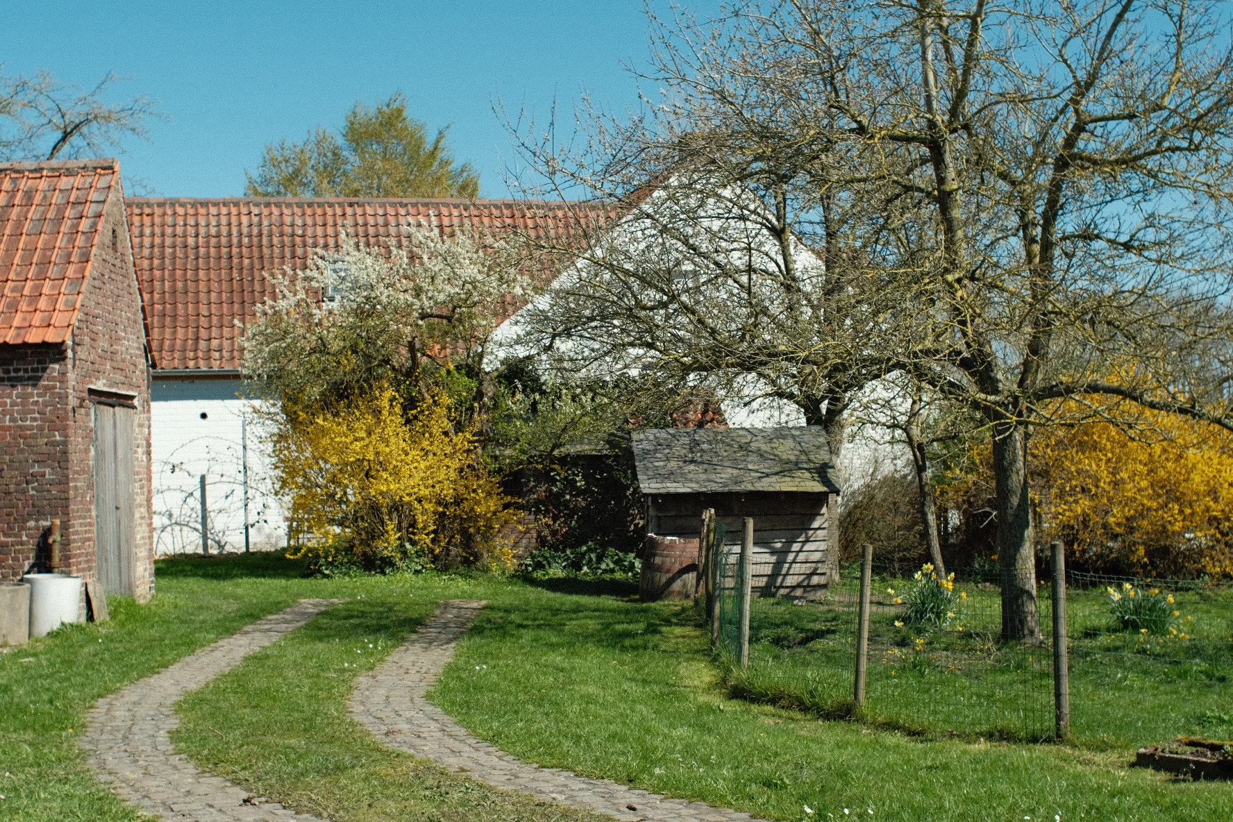 - image: 2
