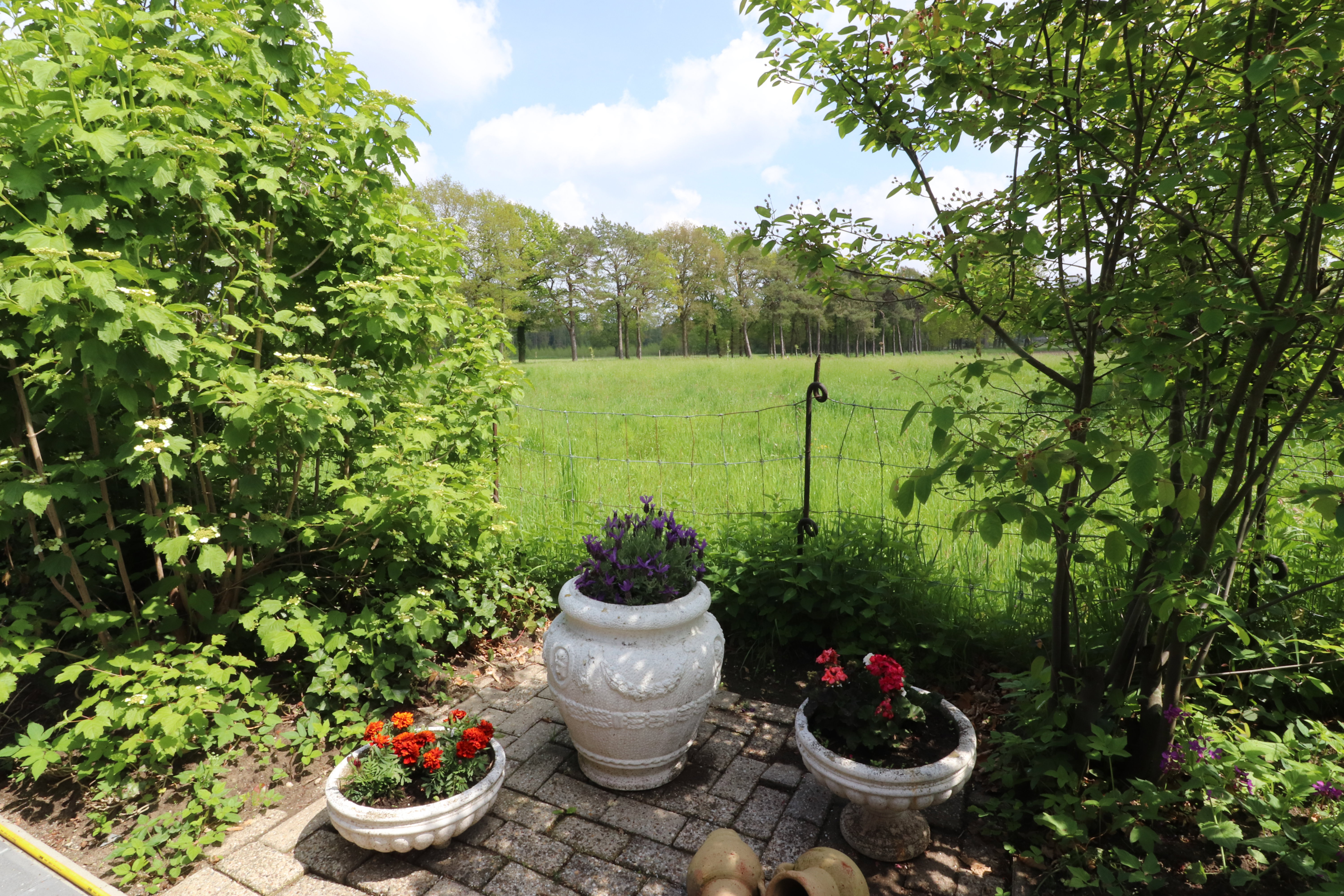 Naturhäuschen in Winterswijk Woold