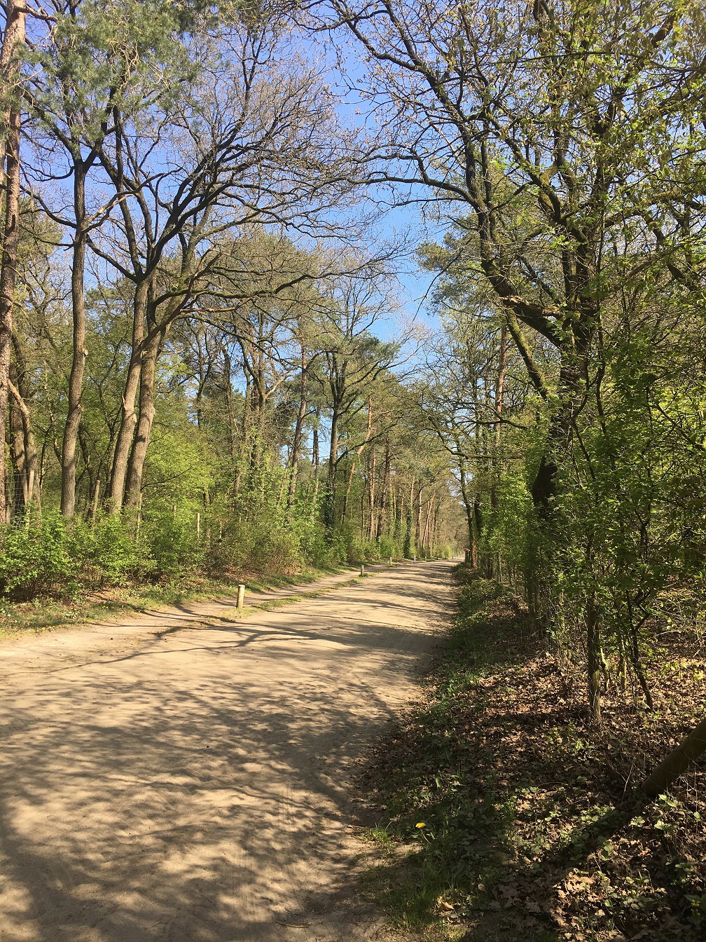 Natuurhuisje in Otterlo