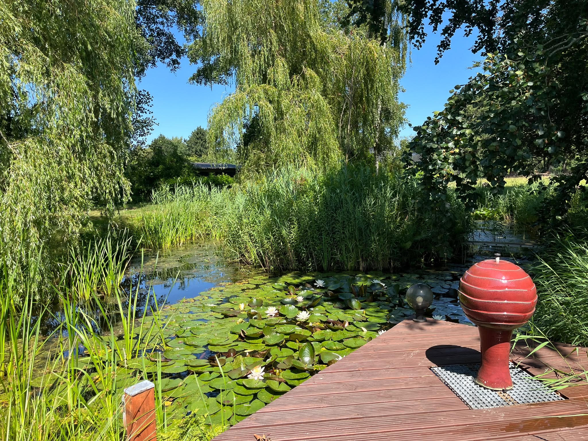 Natuurhuisje in Jubbega