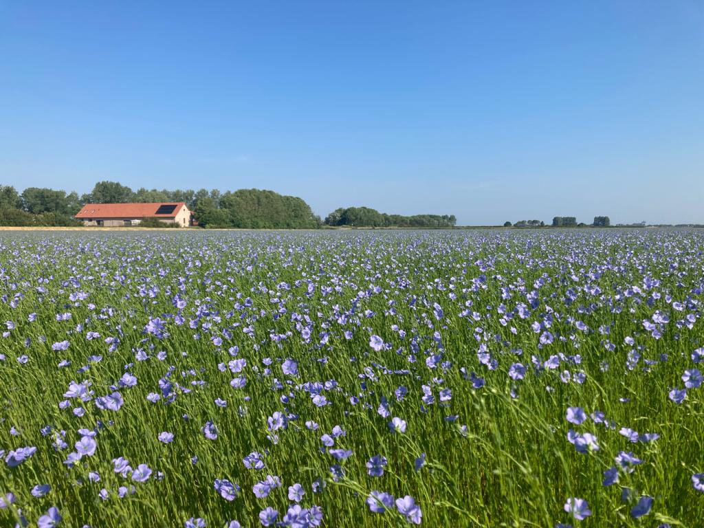Natuurhuisje in Retranchement