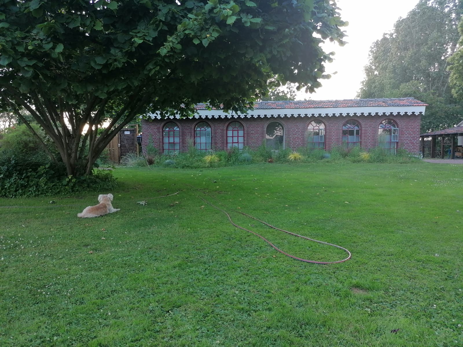 Natuurhuisje in Well