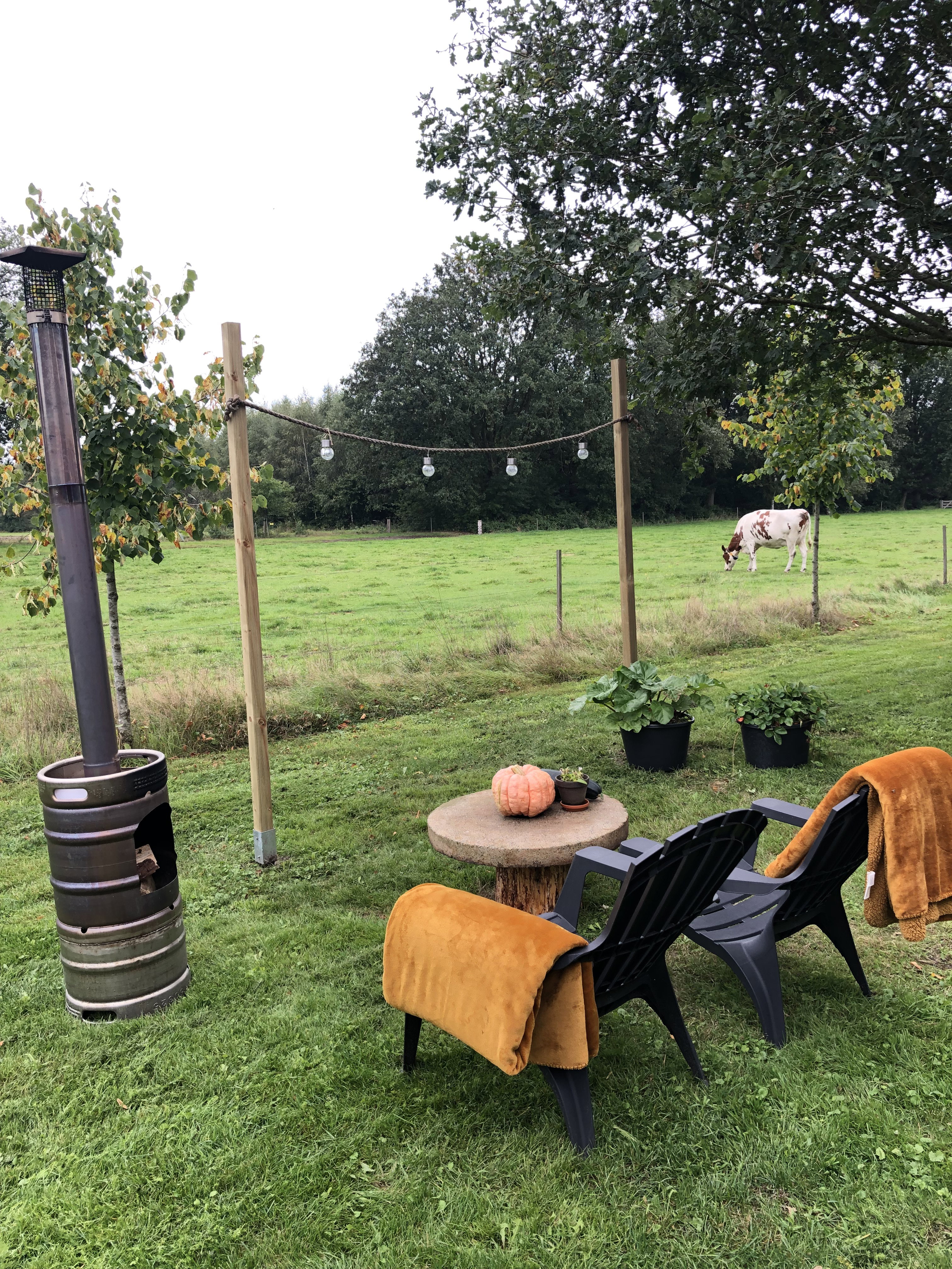 Natuurhuisje in Ommen