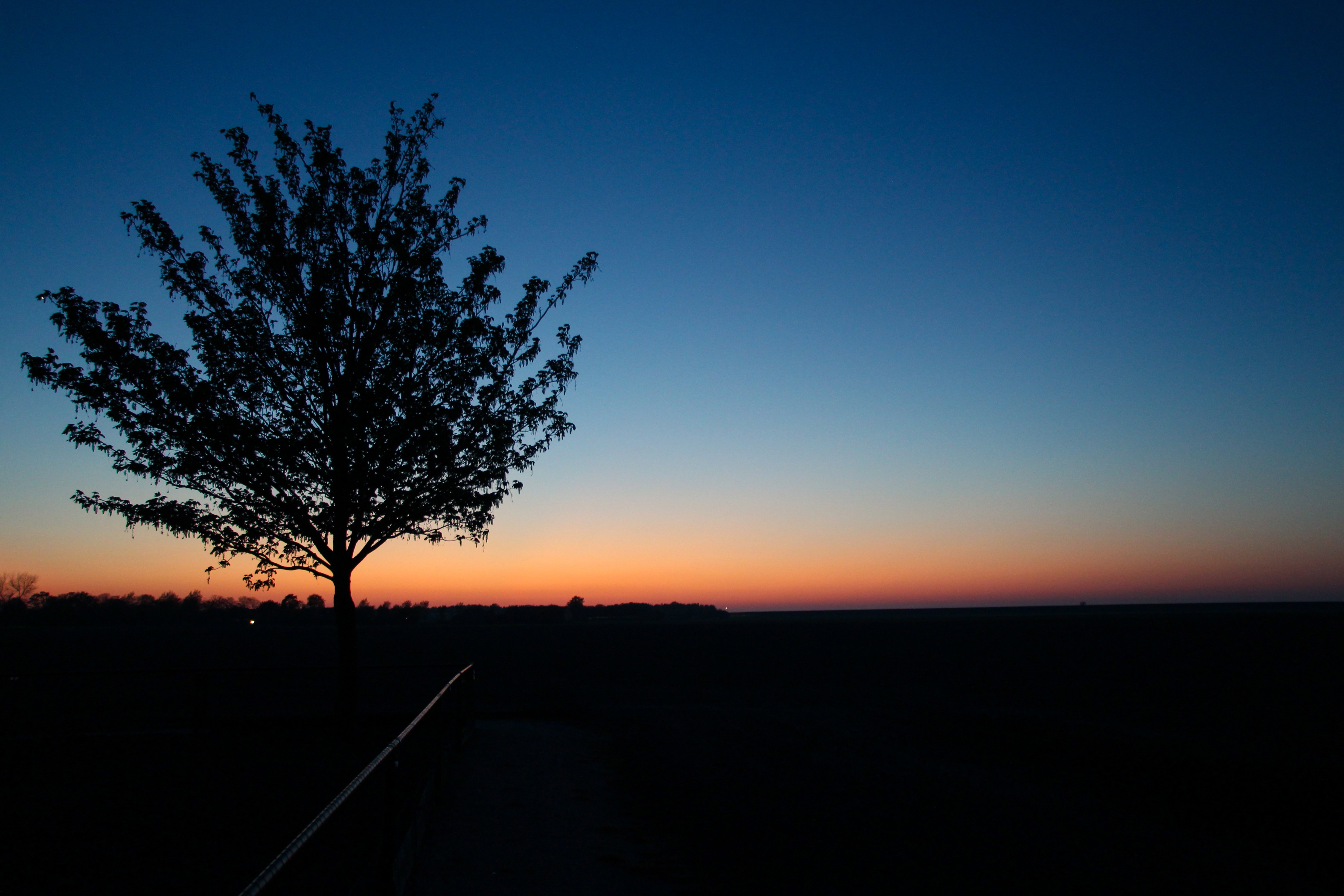 - image: 19