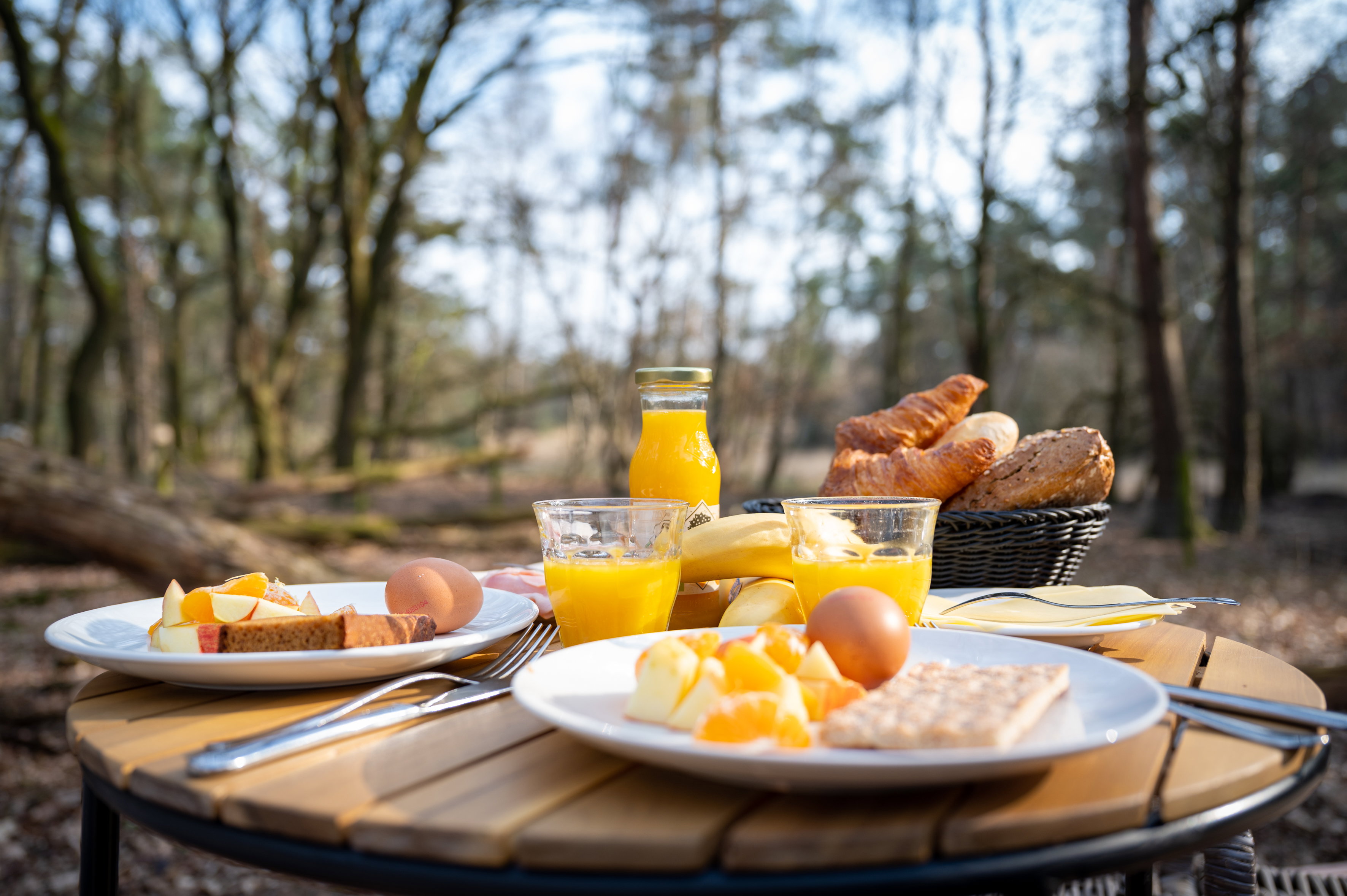 Naturhäuschen in Elspeet
