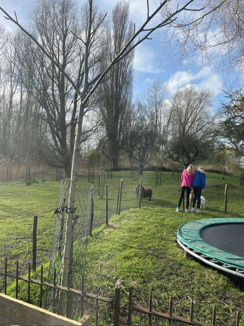 - image: 23