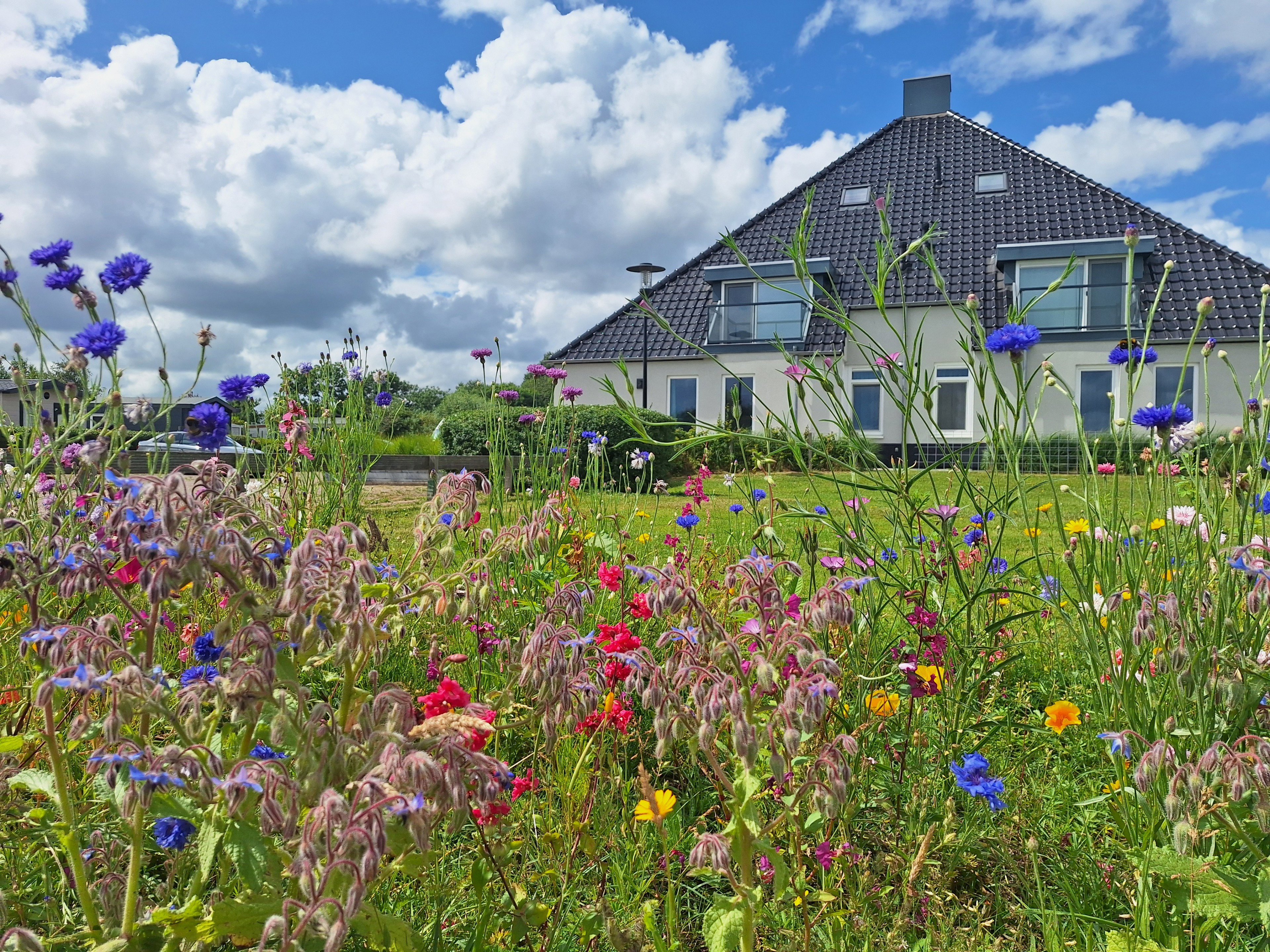 Casa nella natura a Offingawier