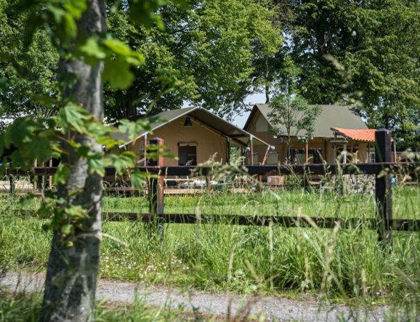 Maison nature à Steenbergen