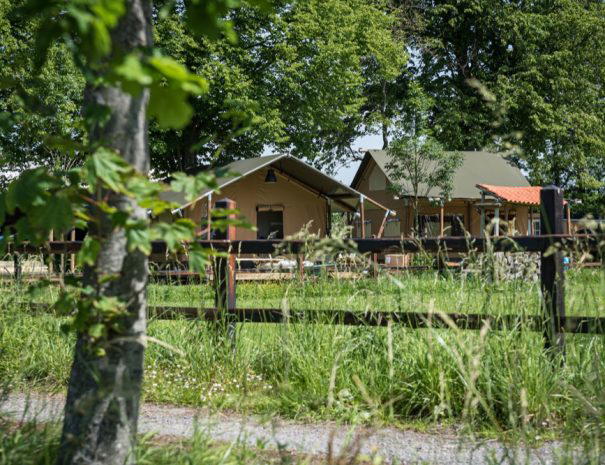 Nature house in Steenbergen