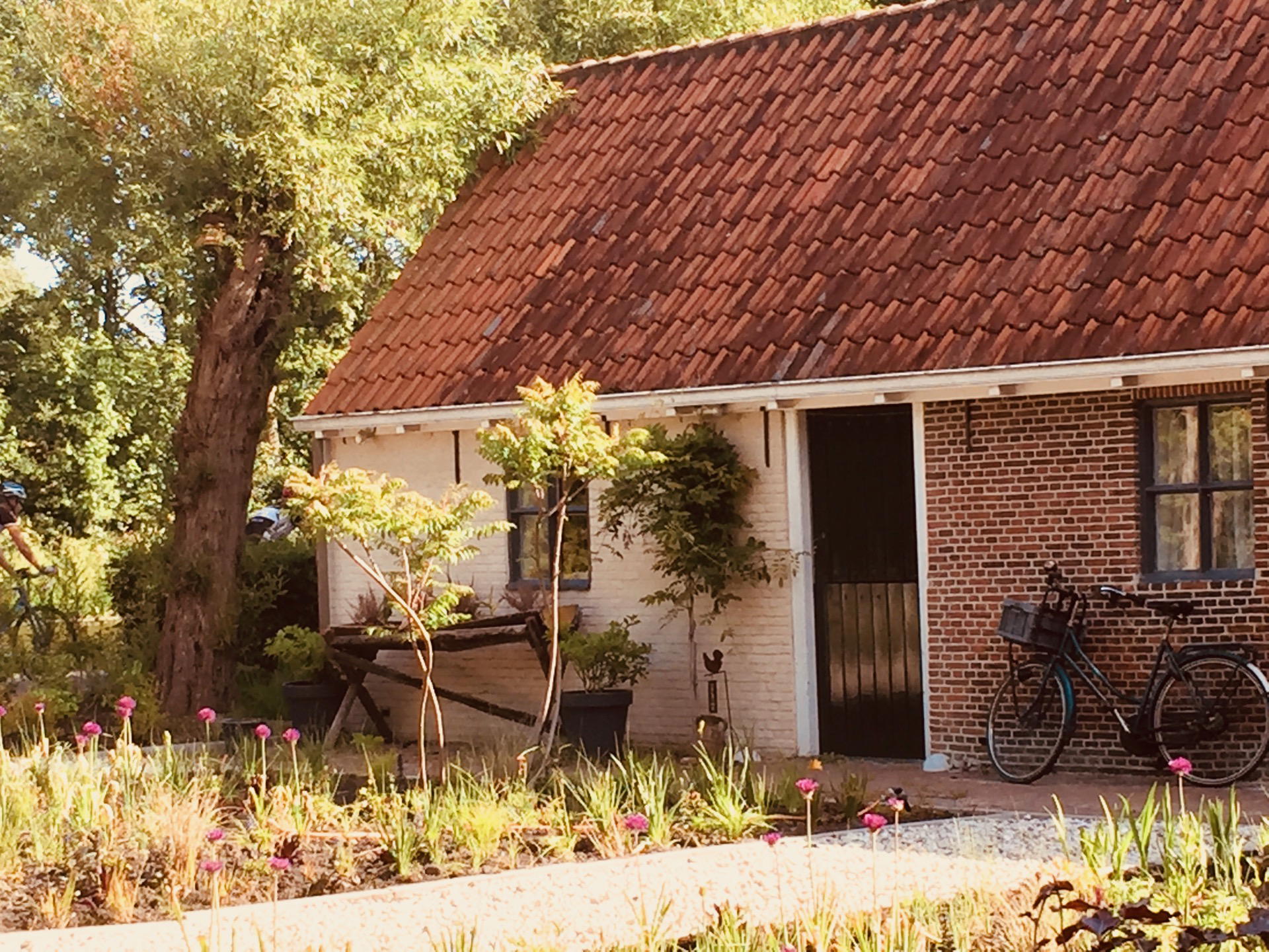 Nature house in Leiden