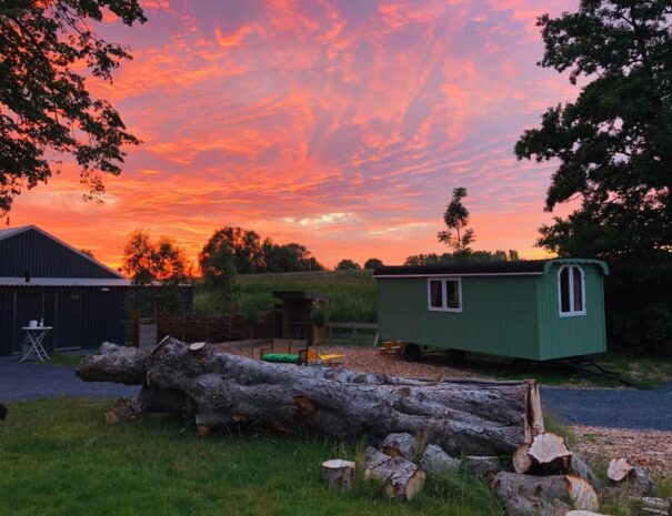 Maison nature à Steenbergen