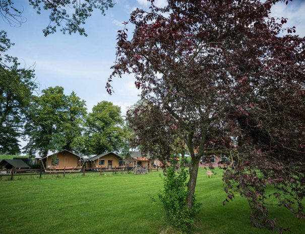Maison nature à Steenbergen
