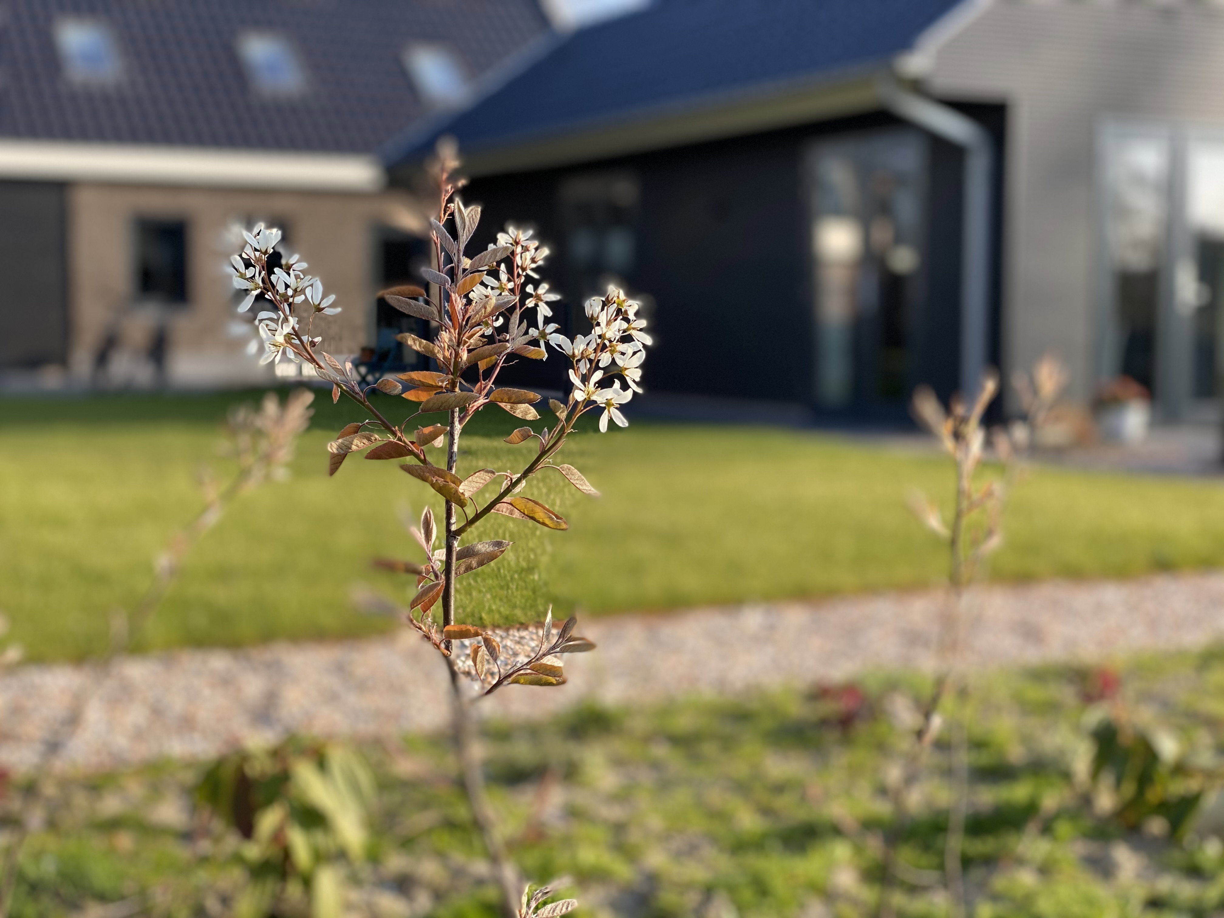 Naturhäuschen in Koudekerke (omgeving Dishoek)
