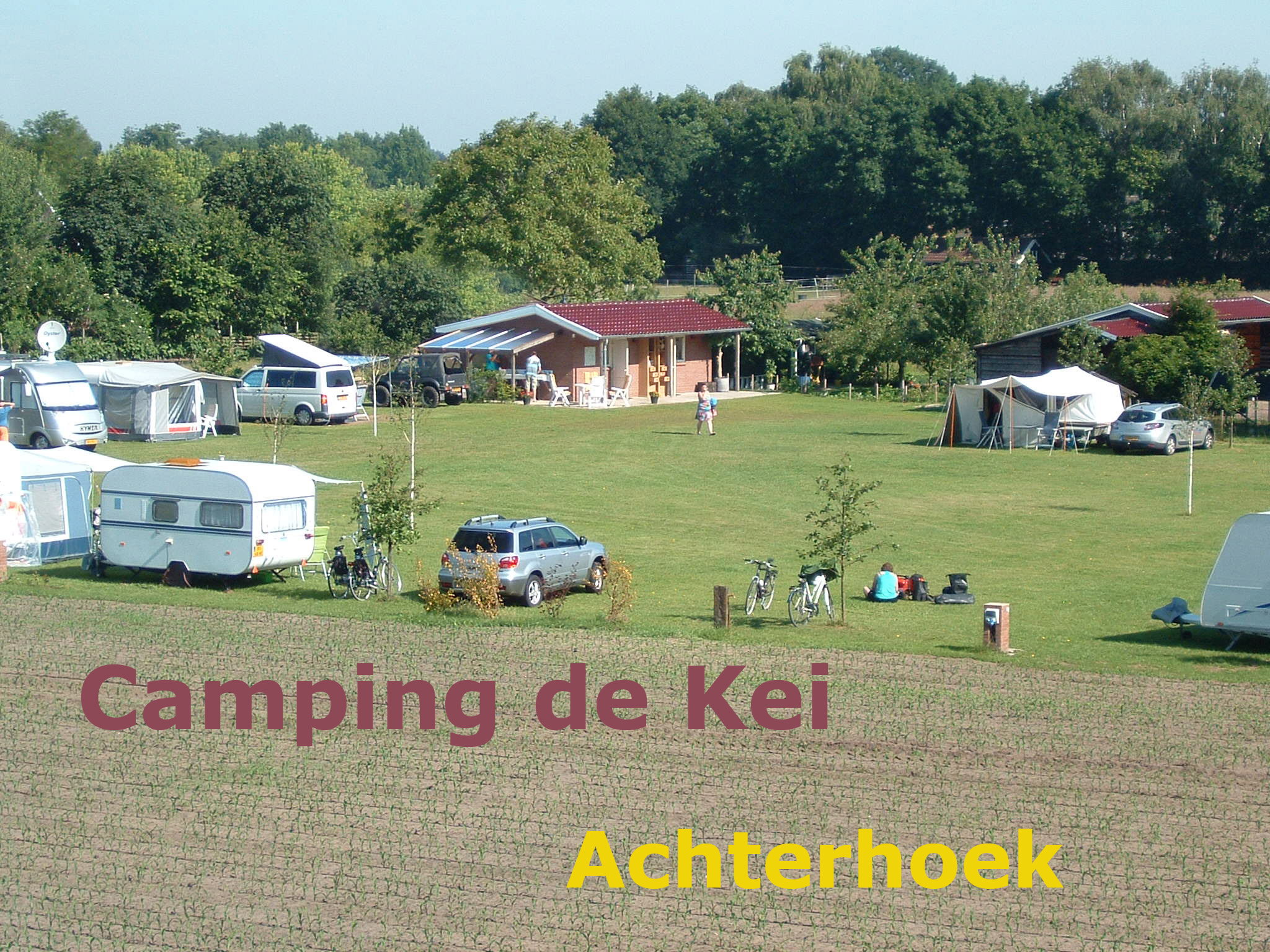 - image: 11
