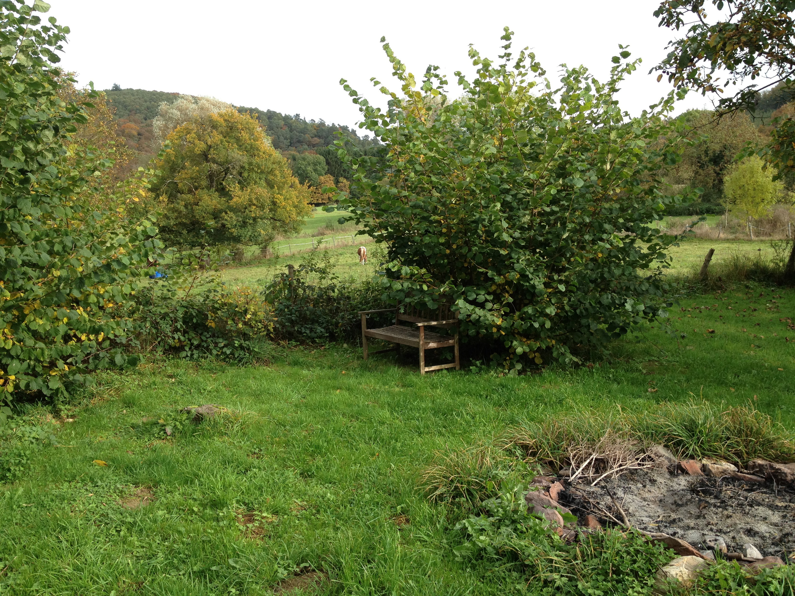 Naturhäuschen in Villers-Ste-Gertrude