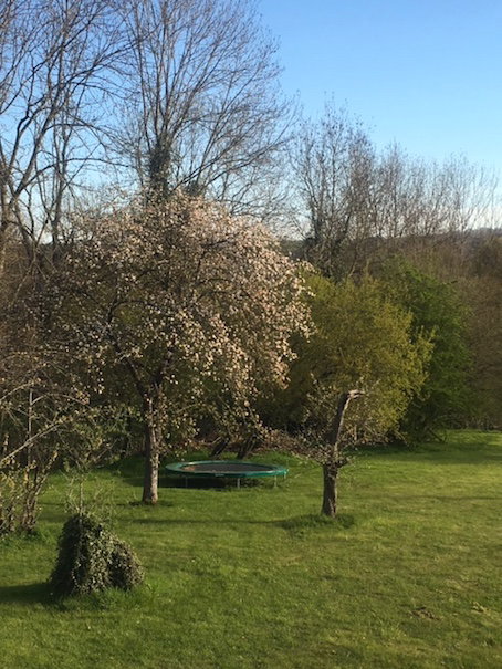 Naturhäuschen in Villers-Ste-Gertrude