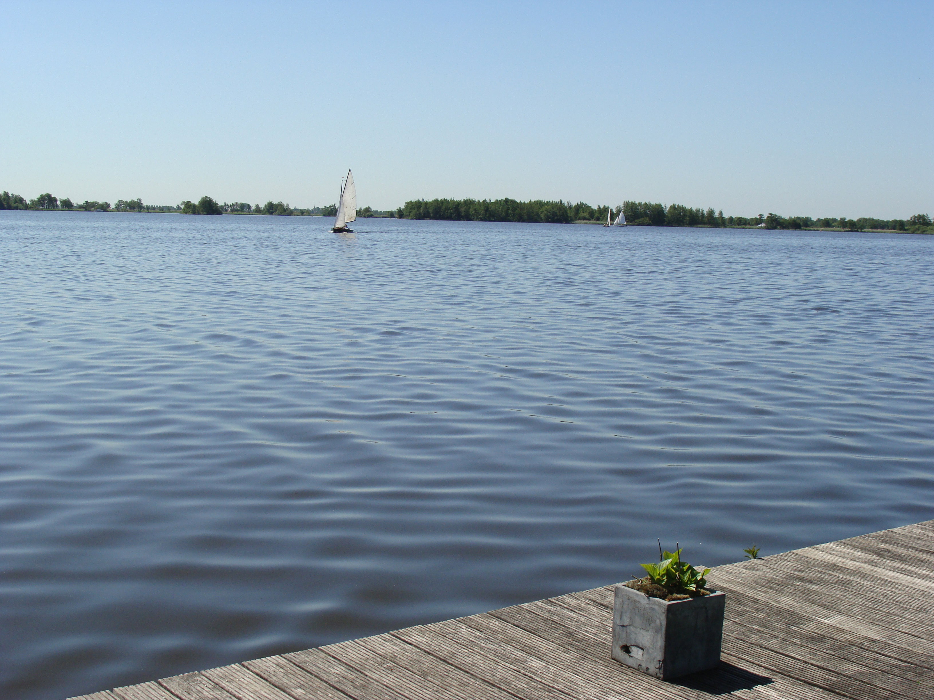 - image: 12