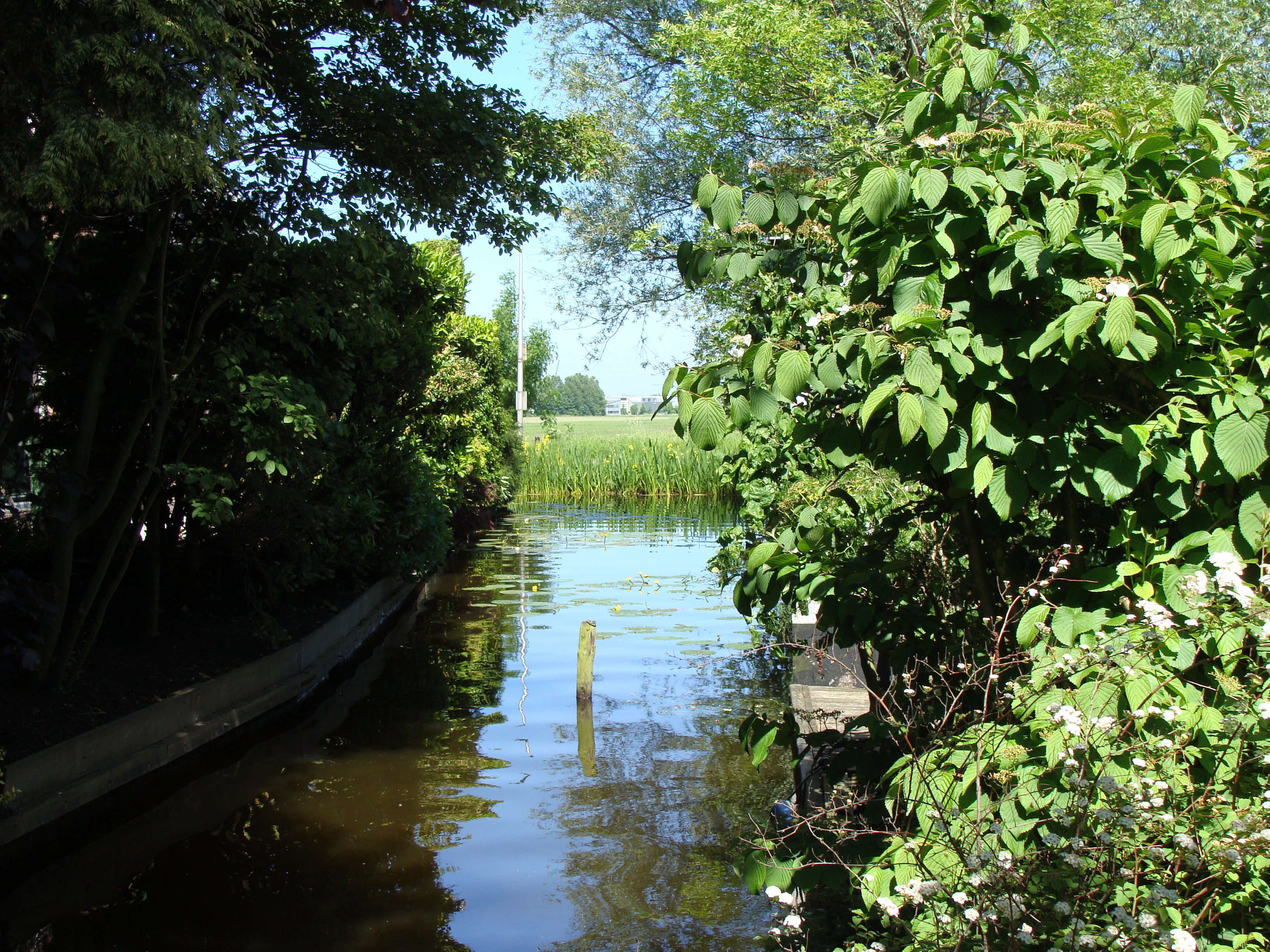 Maison nature à Nieuwkoop