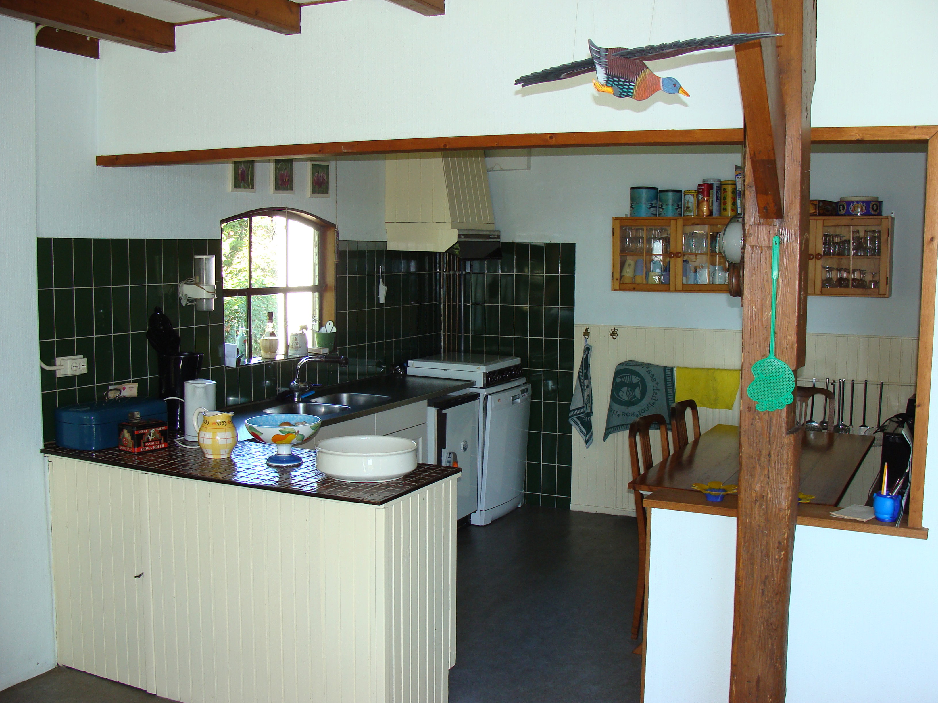 - image: 11