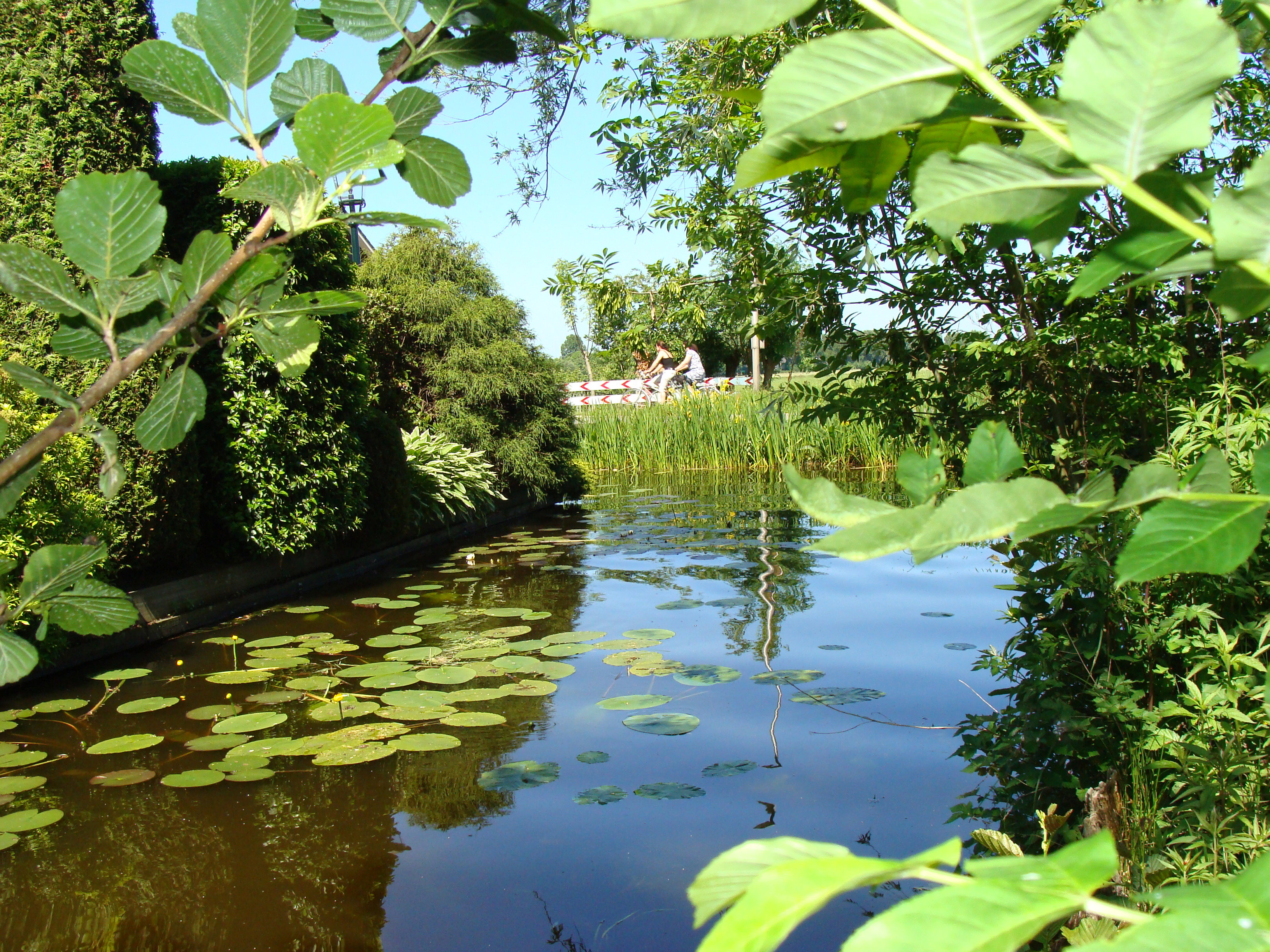 - image: 26