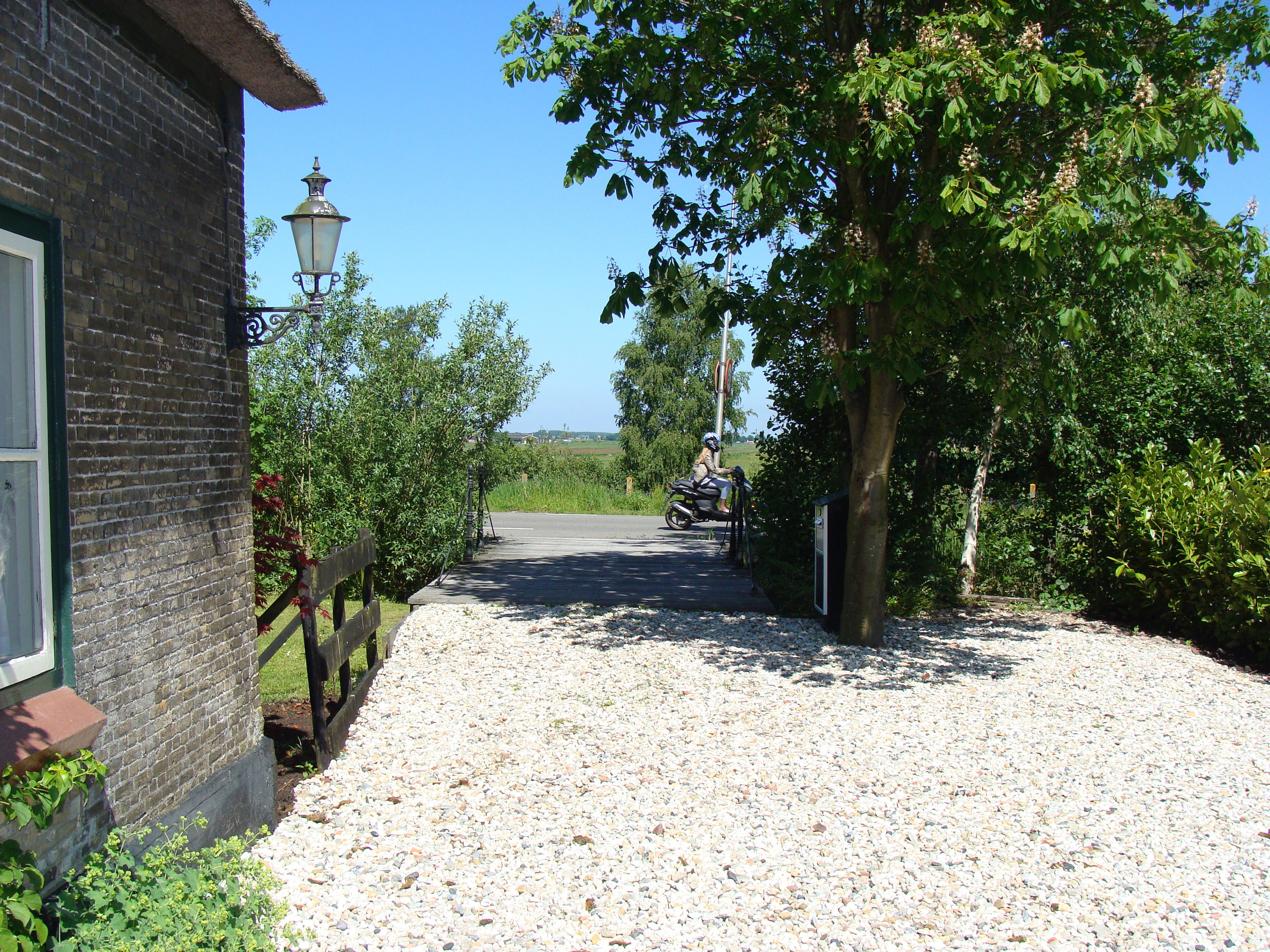 - image: 23