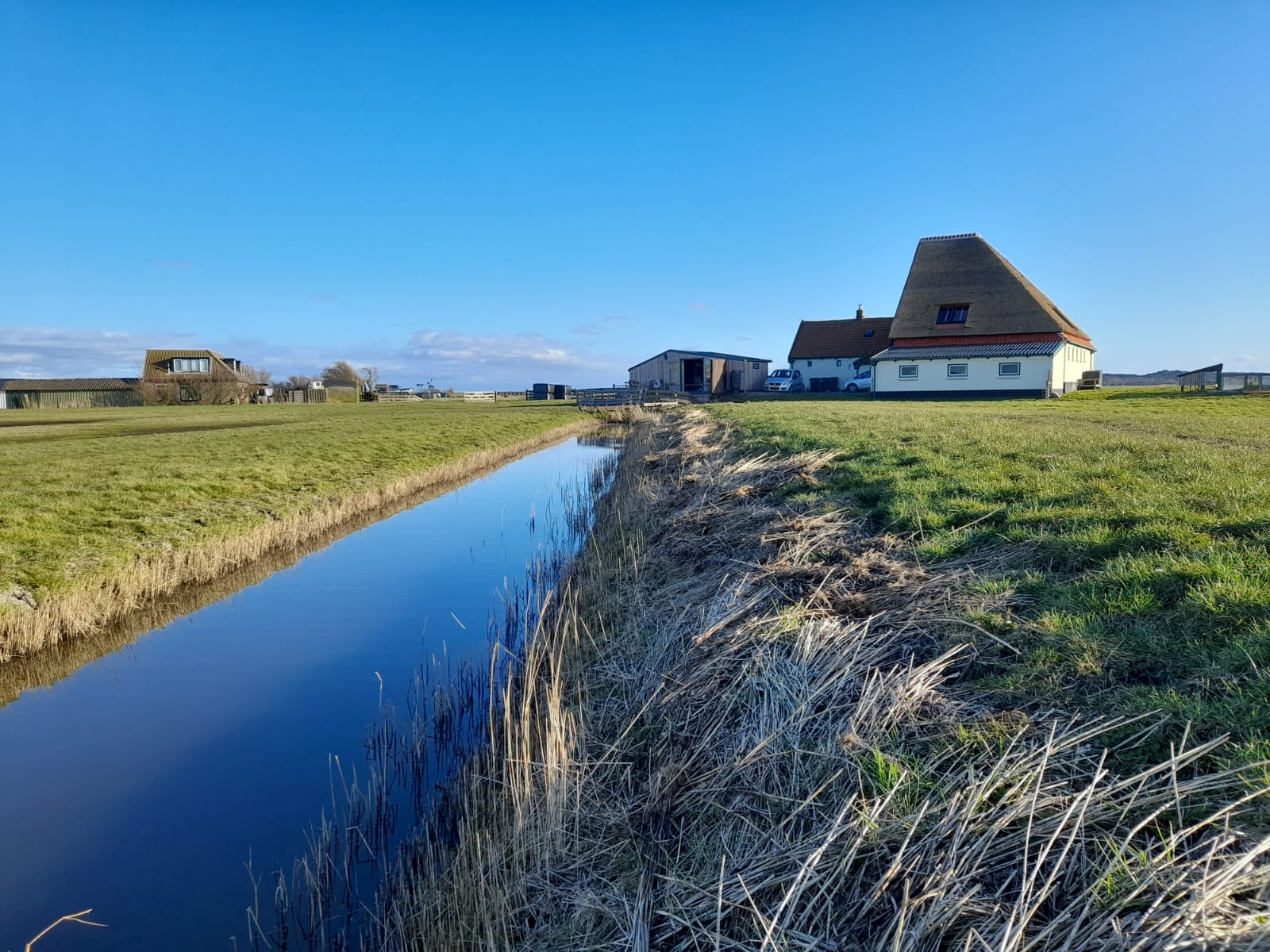 Natuurhuisje in Schoorl