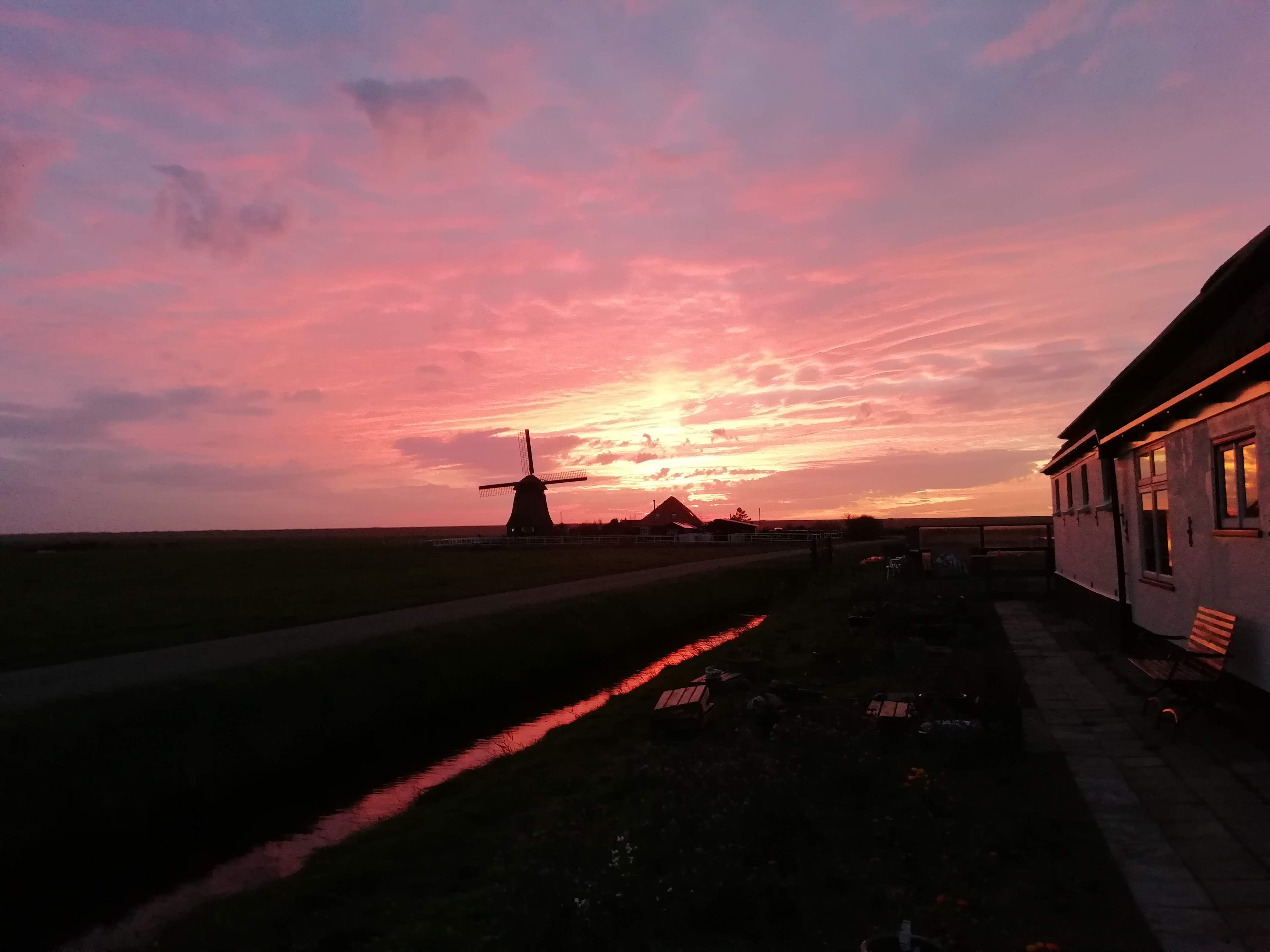 Natuurhuisje in Schoorl