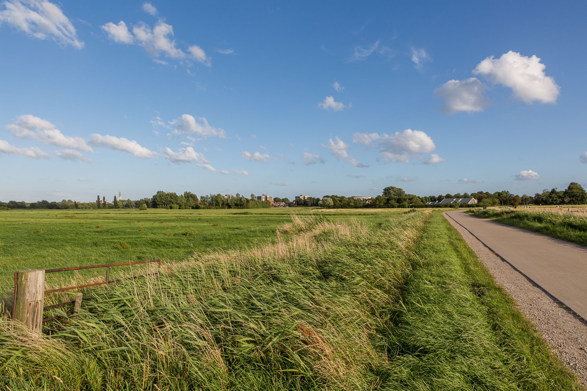 - image: 24