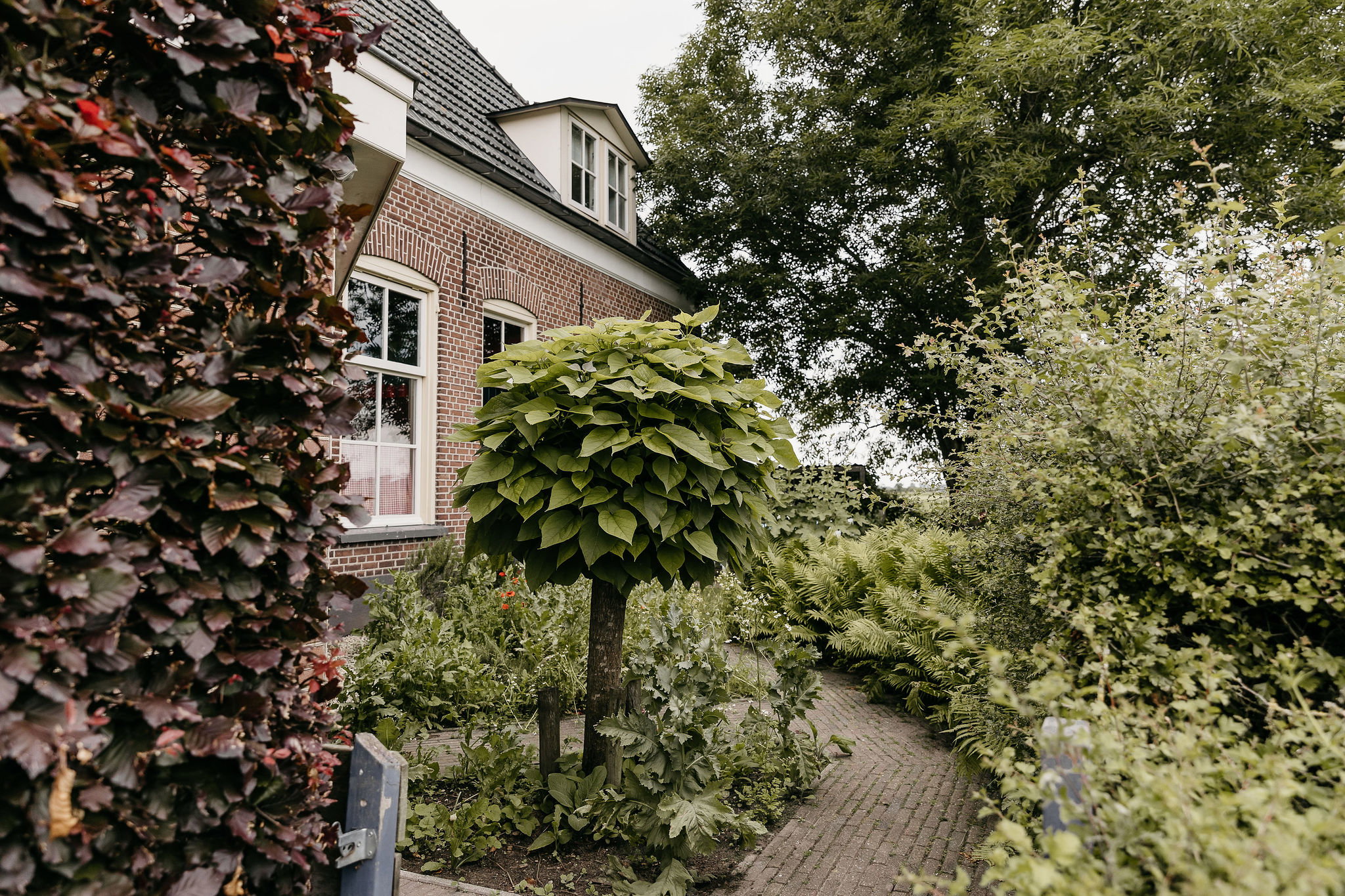 Naturhäuschen in Olst