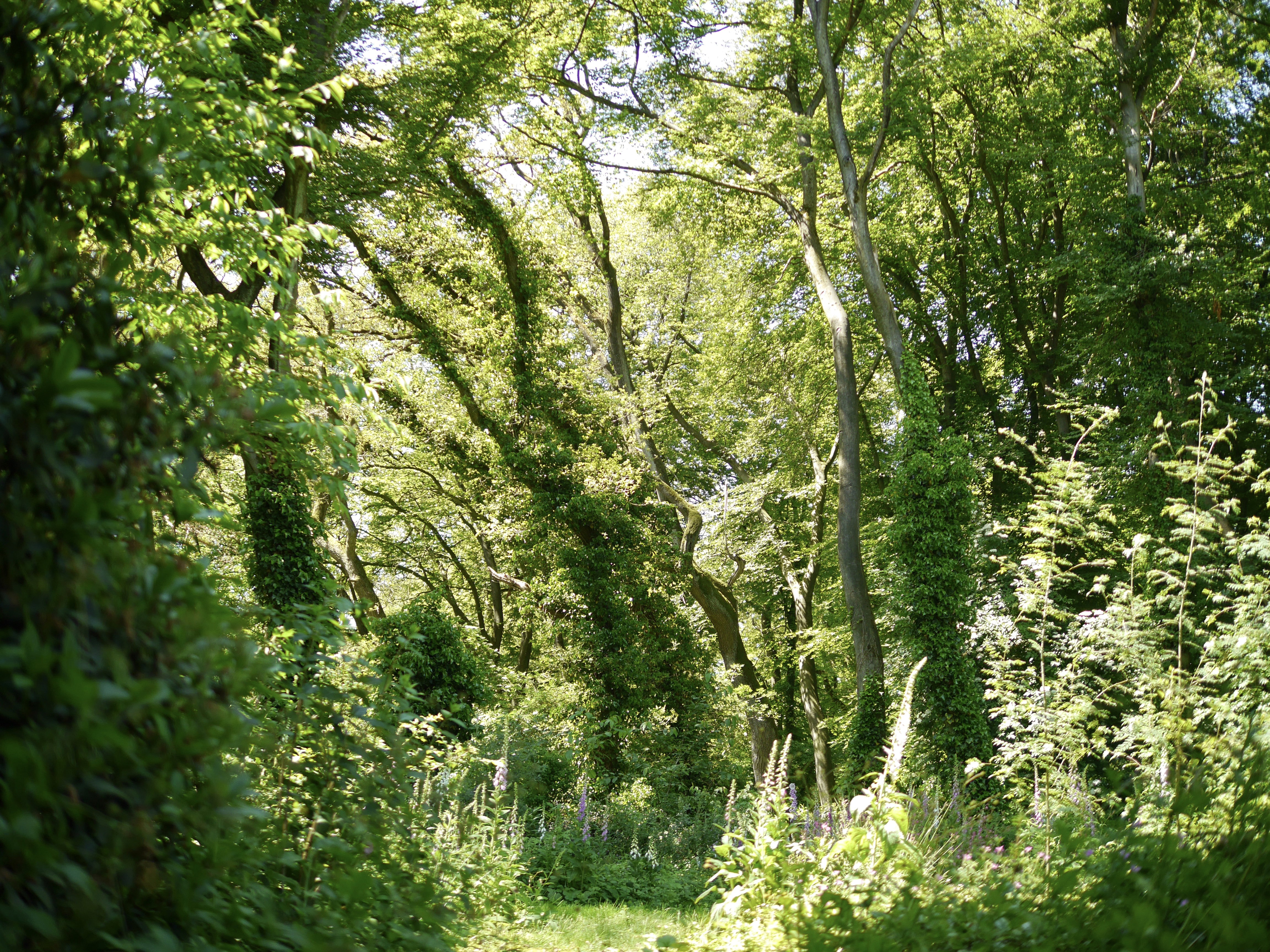 Maison nature à Doorwerth