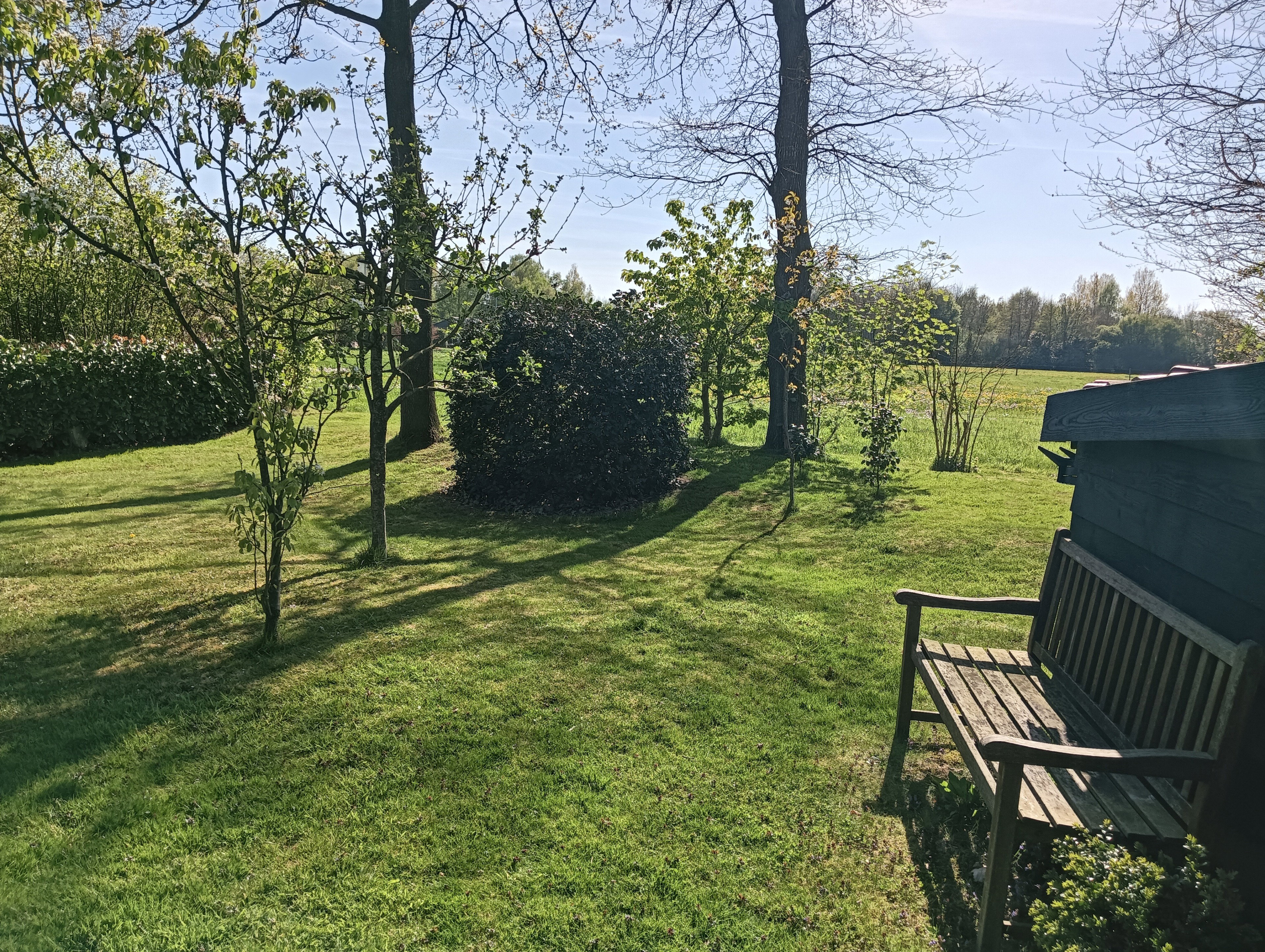 Natuurhuisje in Dwingeloo