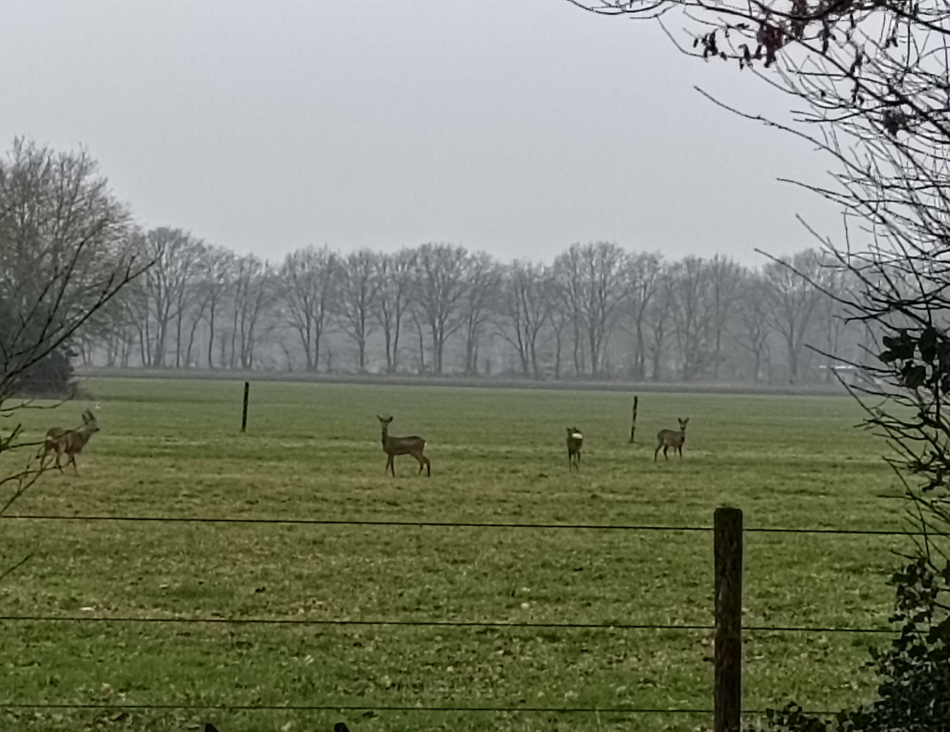 Natuurhuisje in Dwingeloo