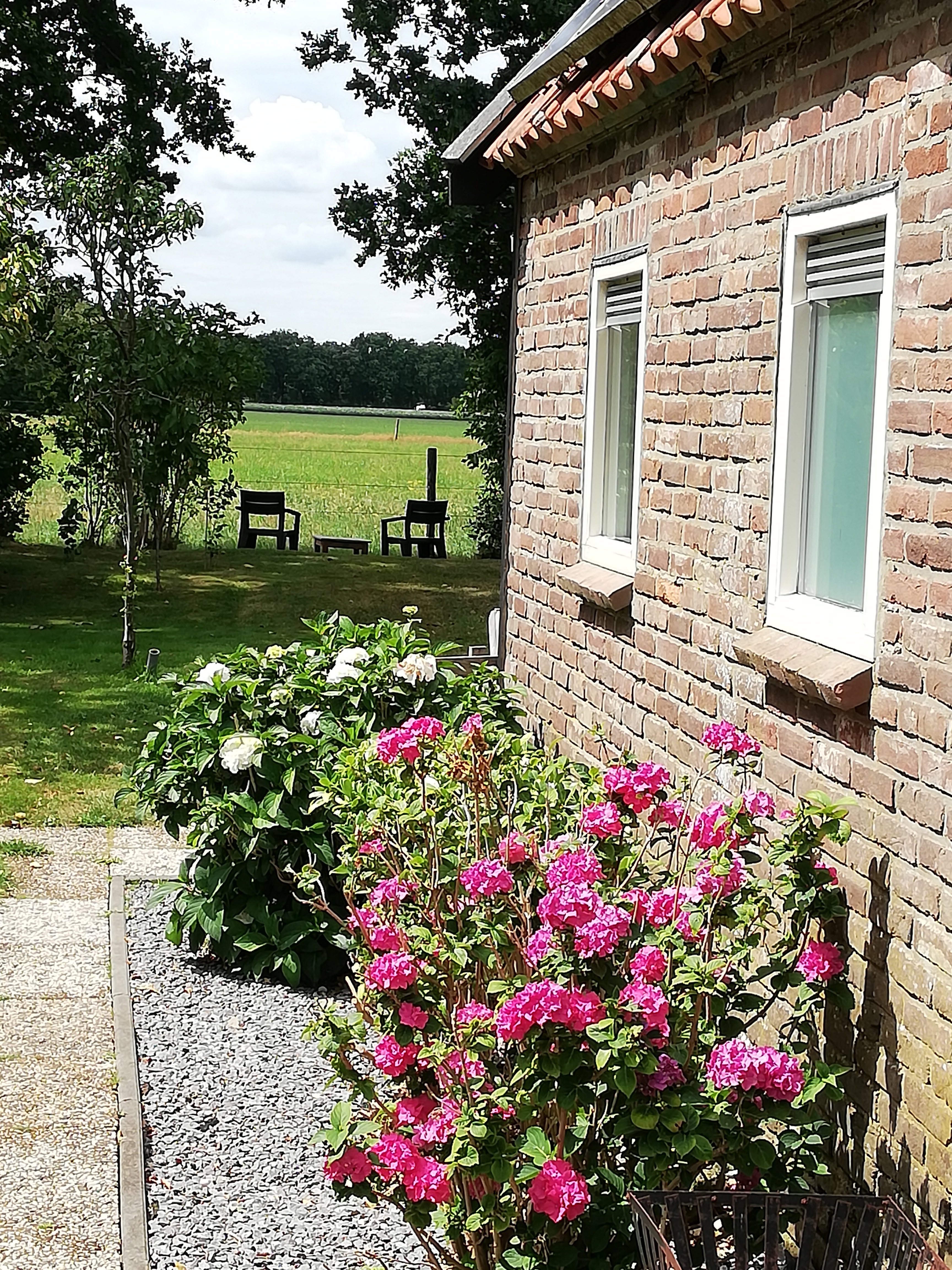 Natuurhuisje in Dwingeloo