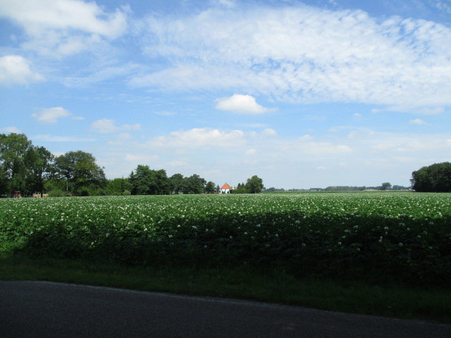 - image: 21