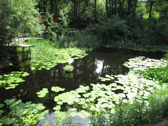 - image: 14