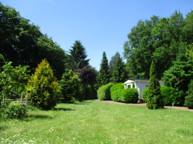- image: 55
