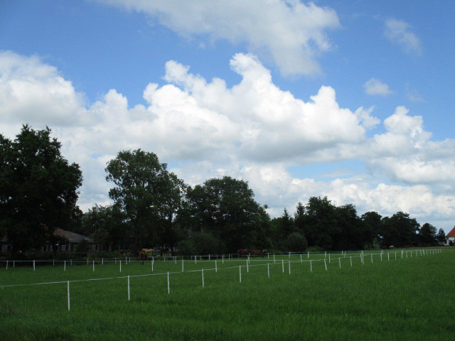 - image: 27