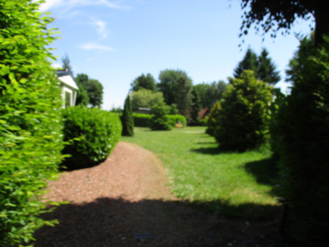 - image: 40